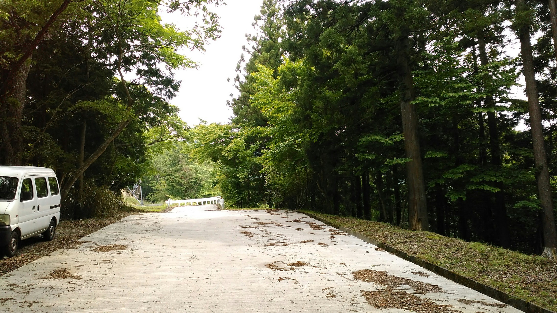 不老山 サンショウバラを求めて金時公園から Quechuaさんの三国山の活動データ Yamap ヤマップ