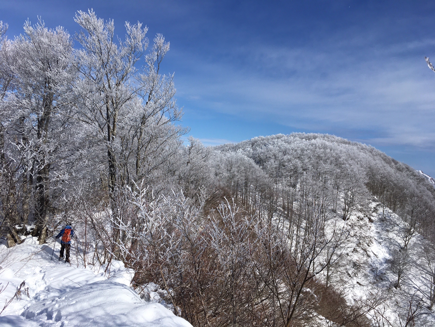 甑岳 20200111 / ぴょんぽーぷーさんの甑岳(山形県村山市)の活動データ YAMAP / ヤマップ