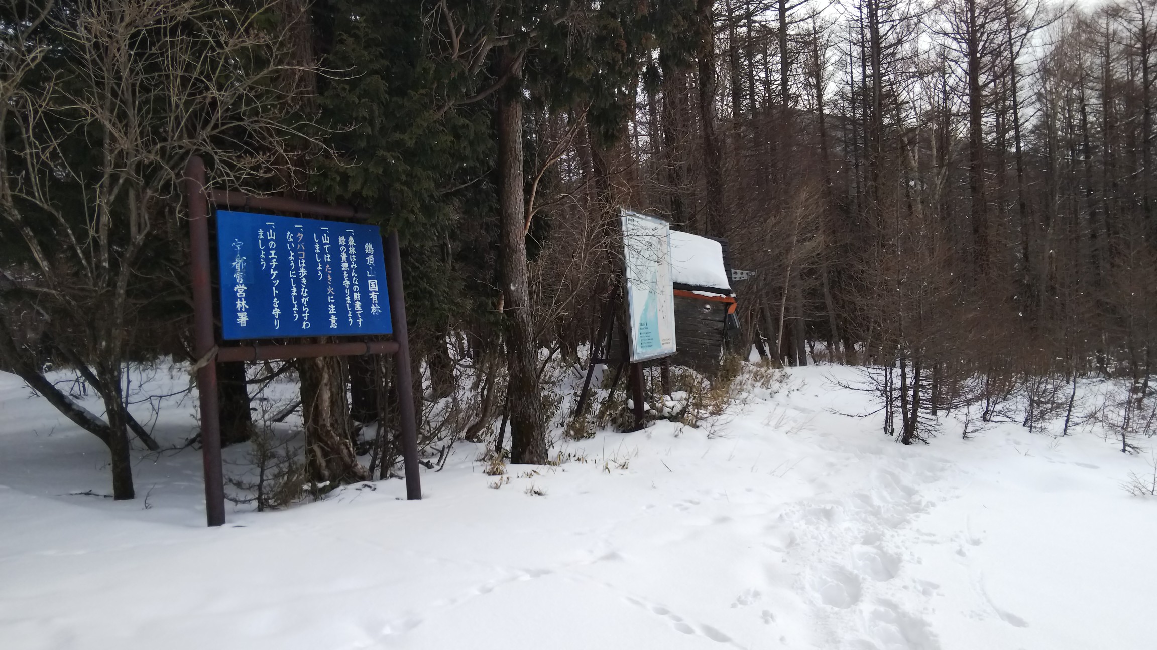 ここで思案～多分、コースタイムの倍以上はかかりそう～