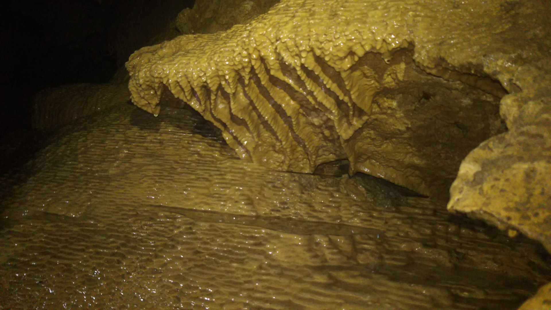 西船付の滝 19 08 11 Taicyouさんの西表島の活動日記 Yamap ヤマップ