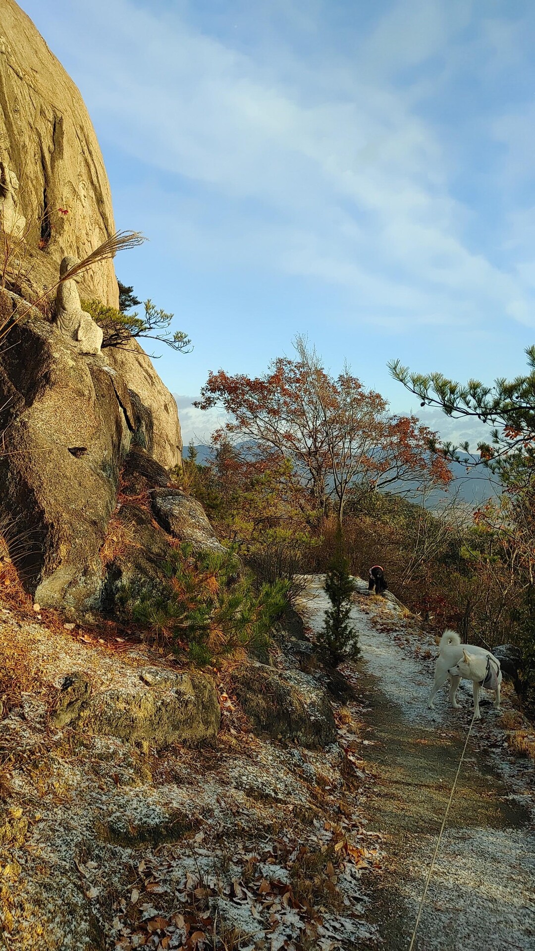 白滝山 散歩🐺🐩😊 / 黒滝山・白滝山の写真31枚目 YAMAP / ヤマップ