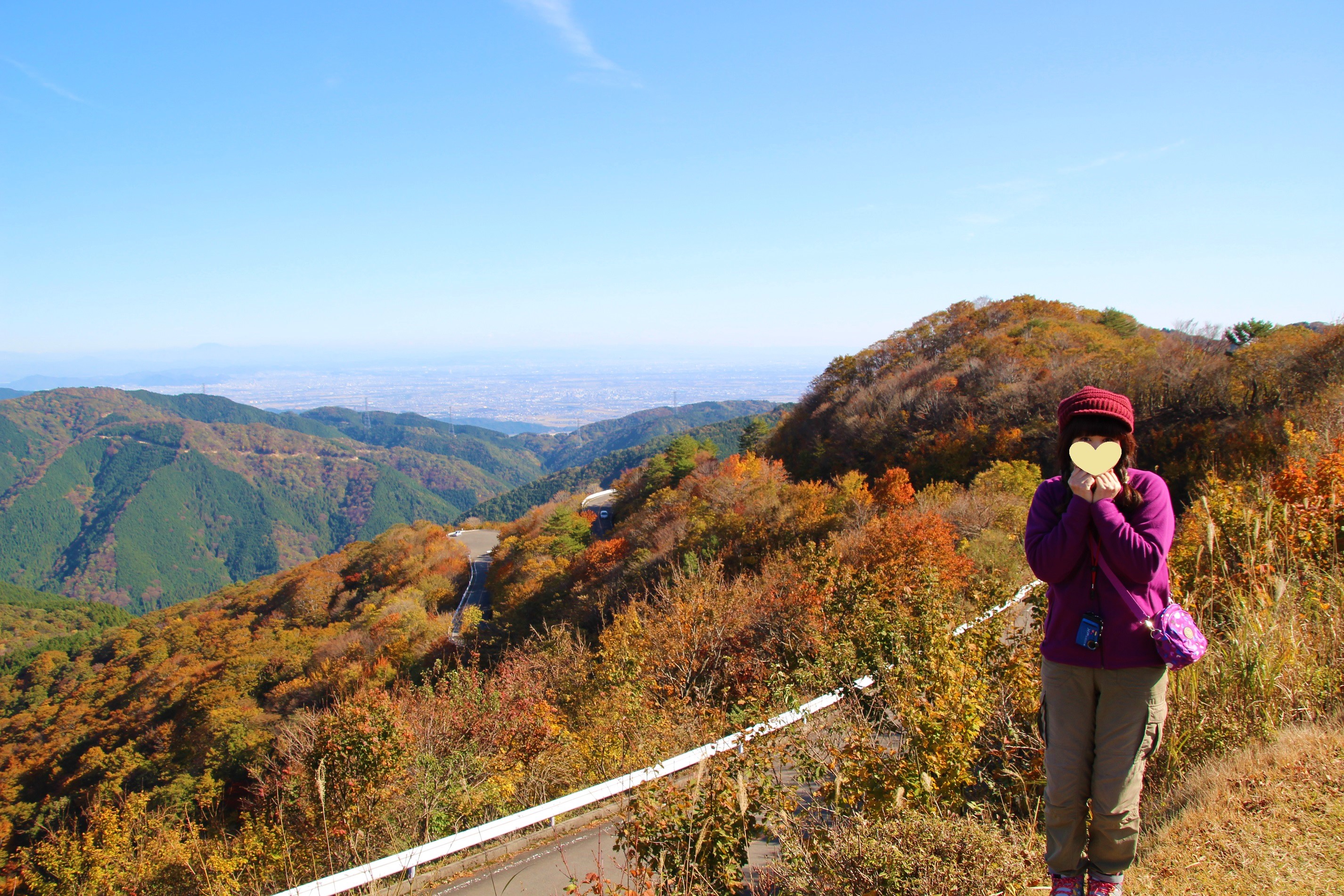 伊吹山 １３７７ｍ ドライブウェイの紅葉はこんなかんじ ぺこらさんの伊吹山 伊吹高原 御座峰の活動データ Yamap ヤマップ