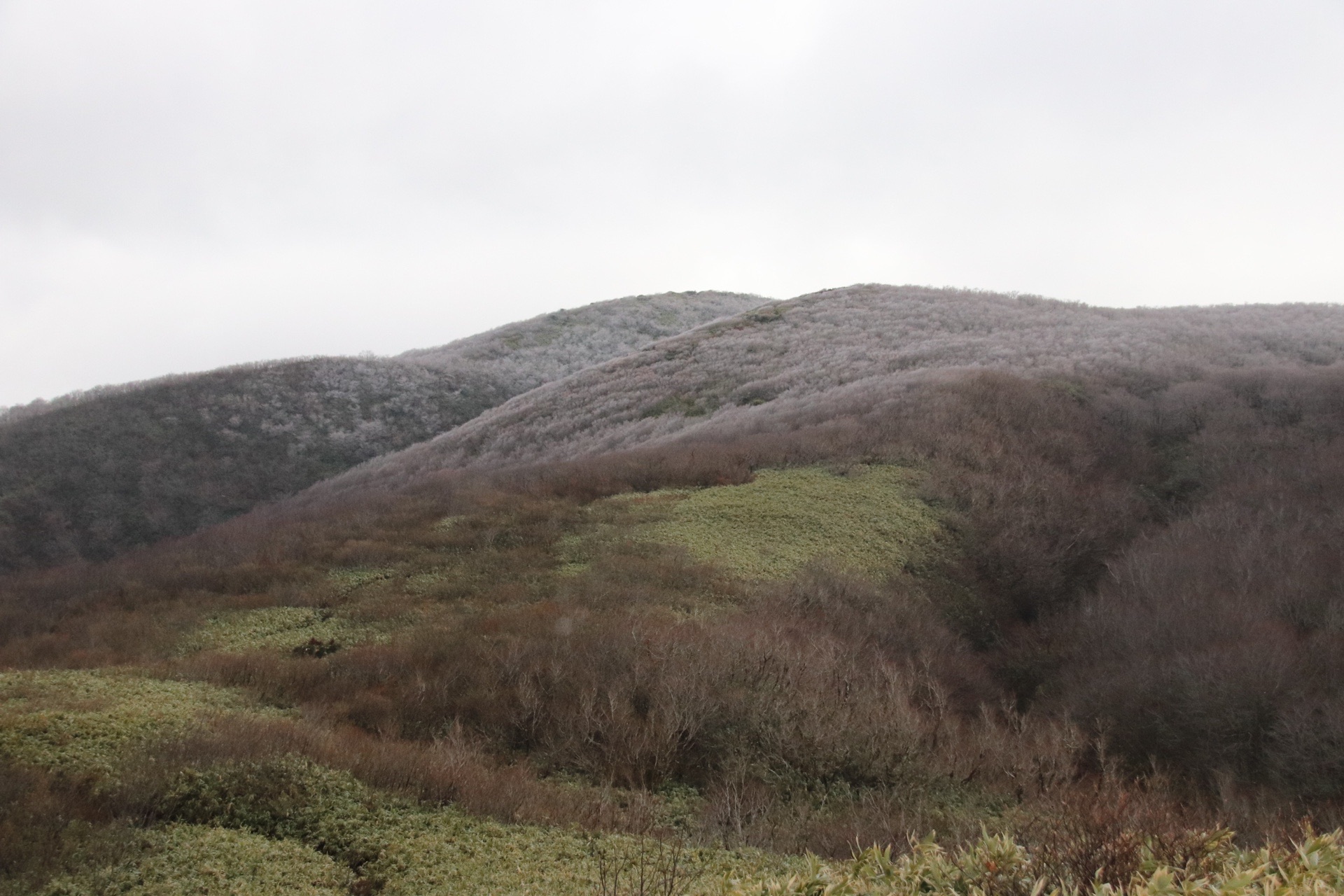 翁山 黒倉山 翁繋がりで 11 23 Goofyさんの翁山 翁峠 の活動データ Yamap ヤマップ