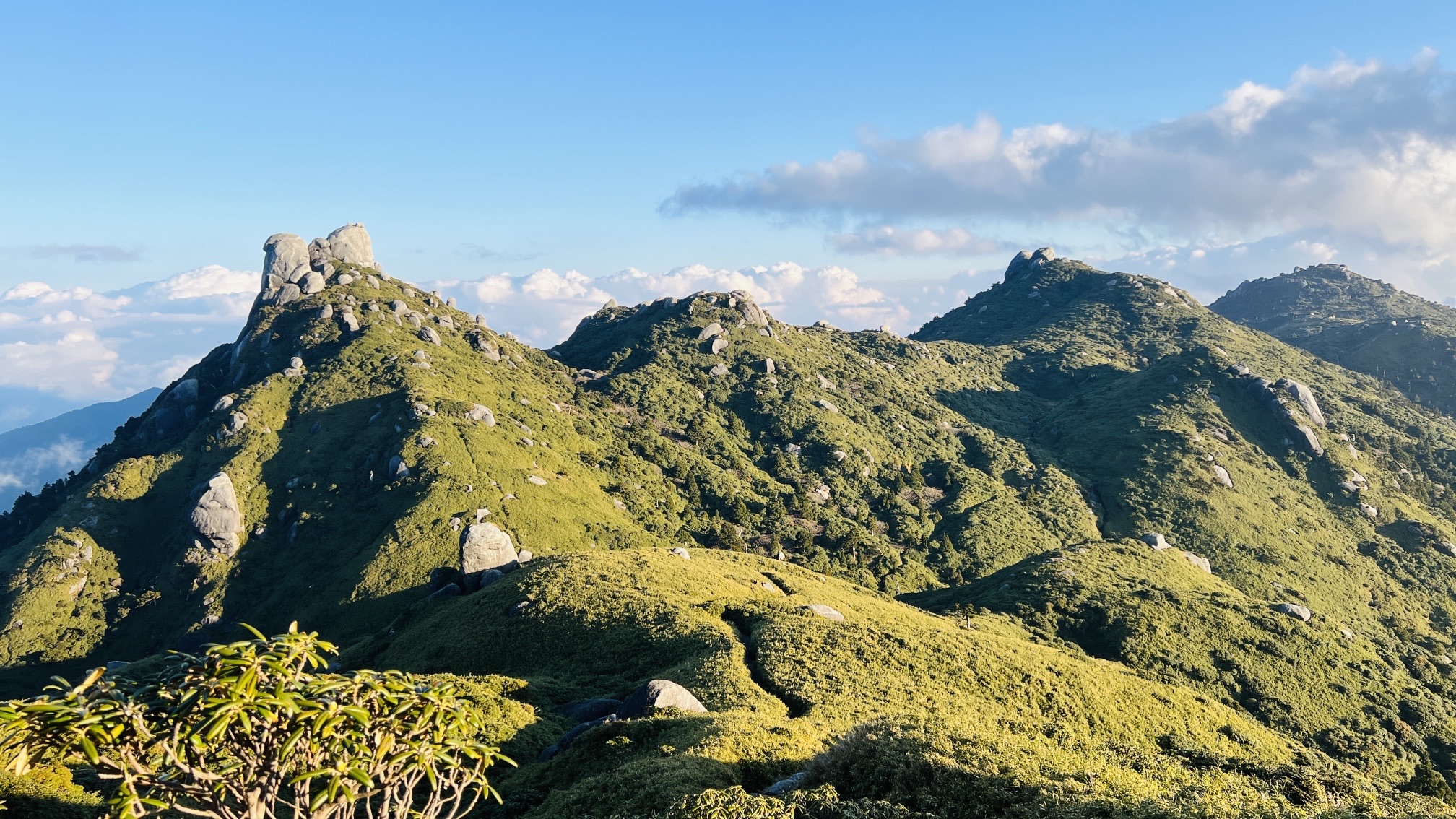 週刊日本百名山 No.1富士山から、No.50開聞岳宮之浦岳 全巻揃い
