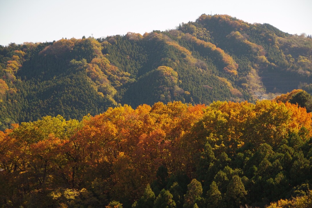 弁天山 往復コースの地図・登山ルート・登山口情報 | YAMAP / ヤマップ