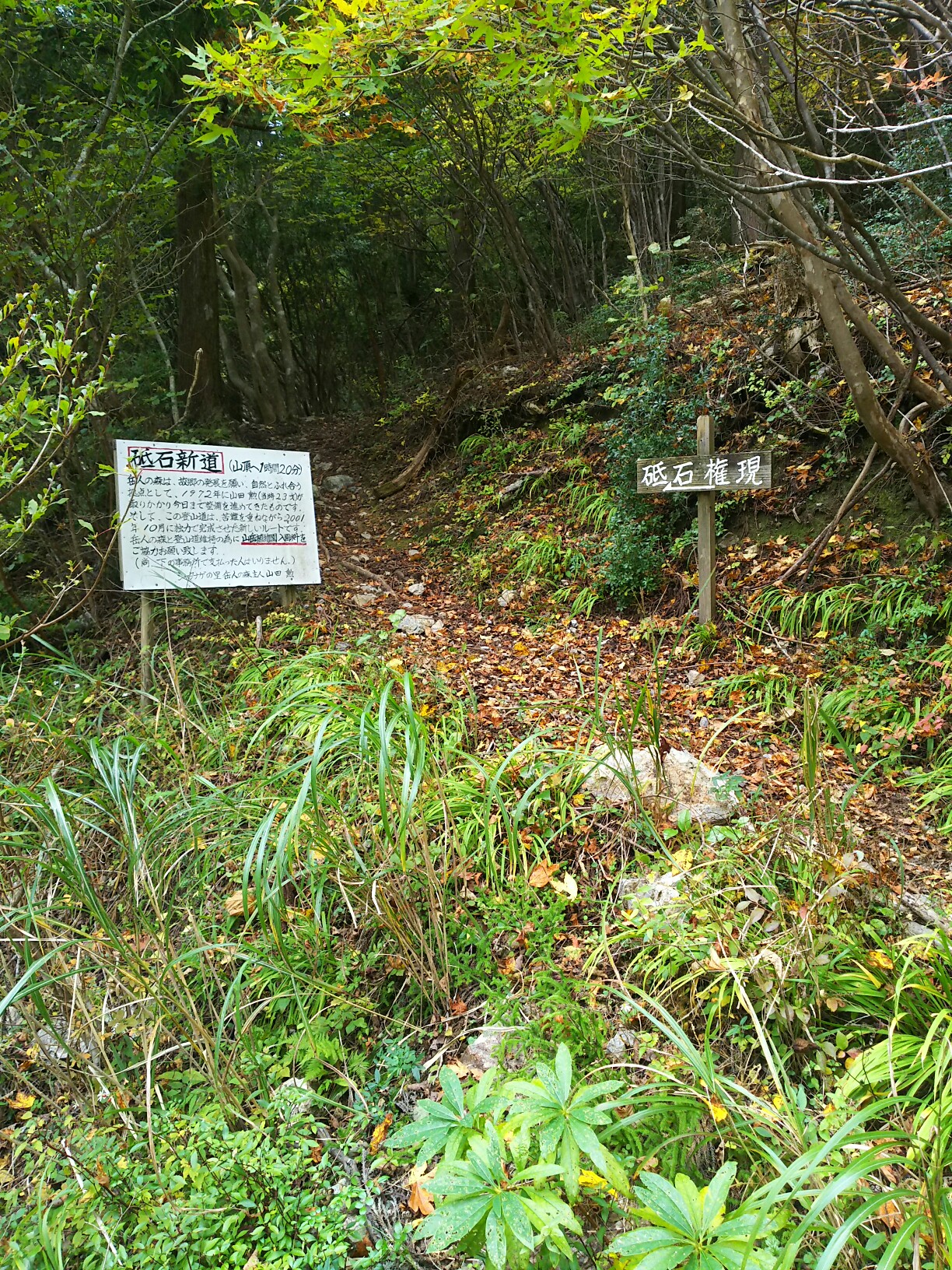 砥石権現山 徳島県 19 11 04 山人さんの高城山 天神丸の活動日記 Yamap ヤマップ