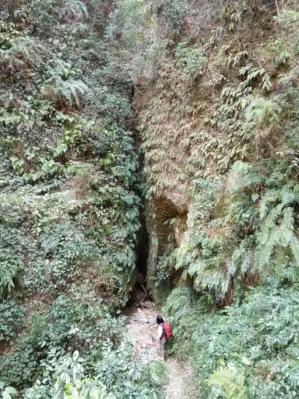 小笠山 六枚屏風 凄い 岩が割れてる Takeさんの小笠山の活動データ Yamap ヤマップ