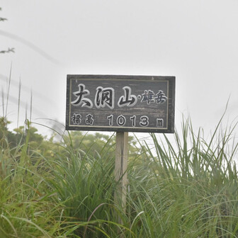 大洞山の雄岳に着いた。ここまでに出会った人はお一人だけ。静かな山歩き。