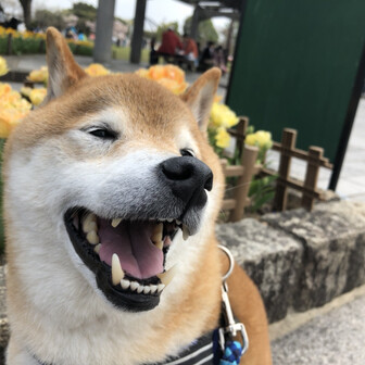 ひるねもぐもぐ