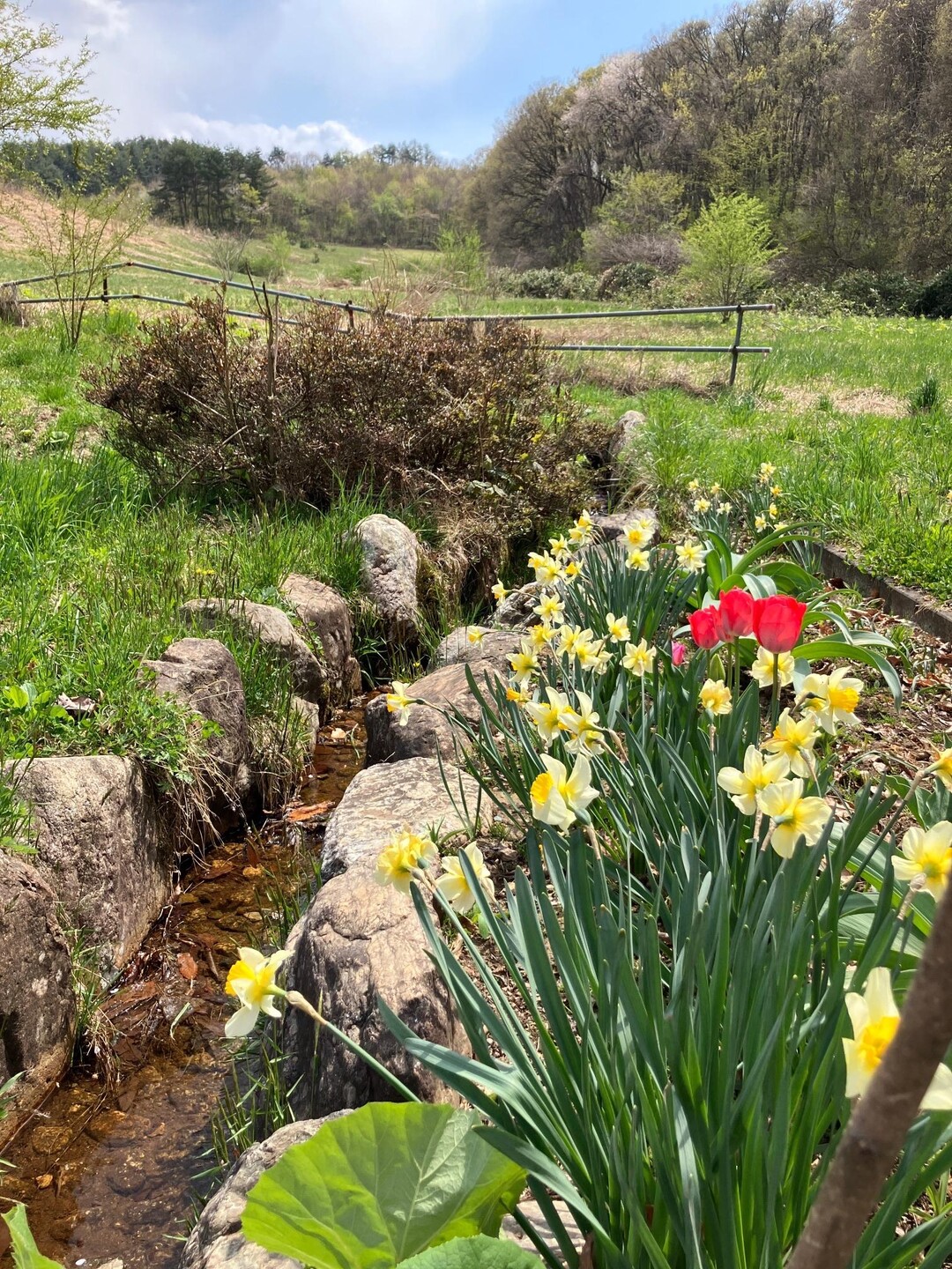 大森山・黒石山 / ハリネズミさんの大森山・黒石山の活動データ YAMAP / ヤマップ
