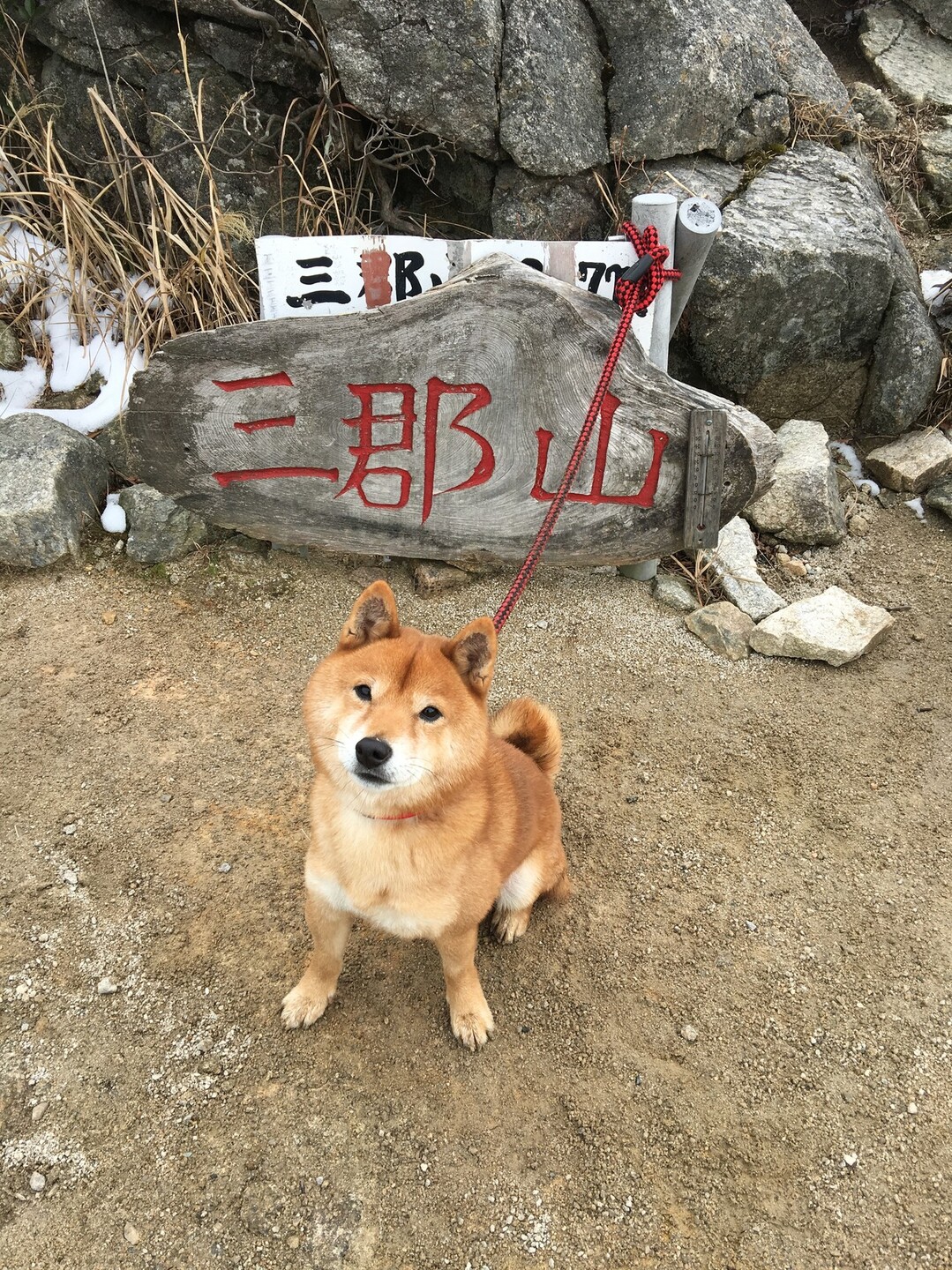 愛犬と山 In 九州 Yamap の山コミュニティ Yamap ヤマップ