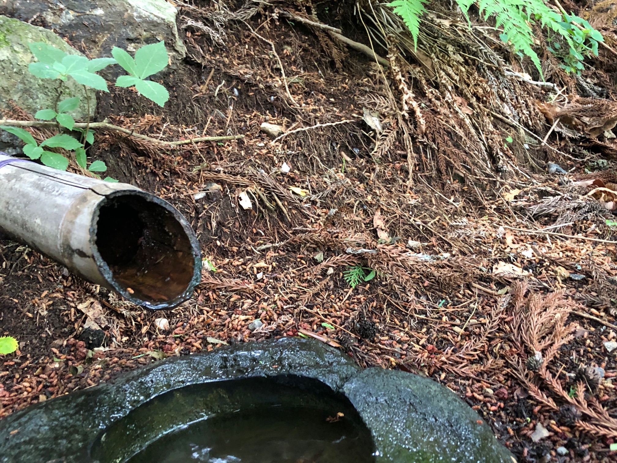 一滴、一滴💧で溜まっています。