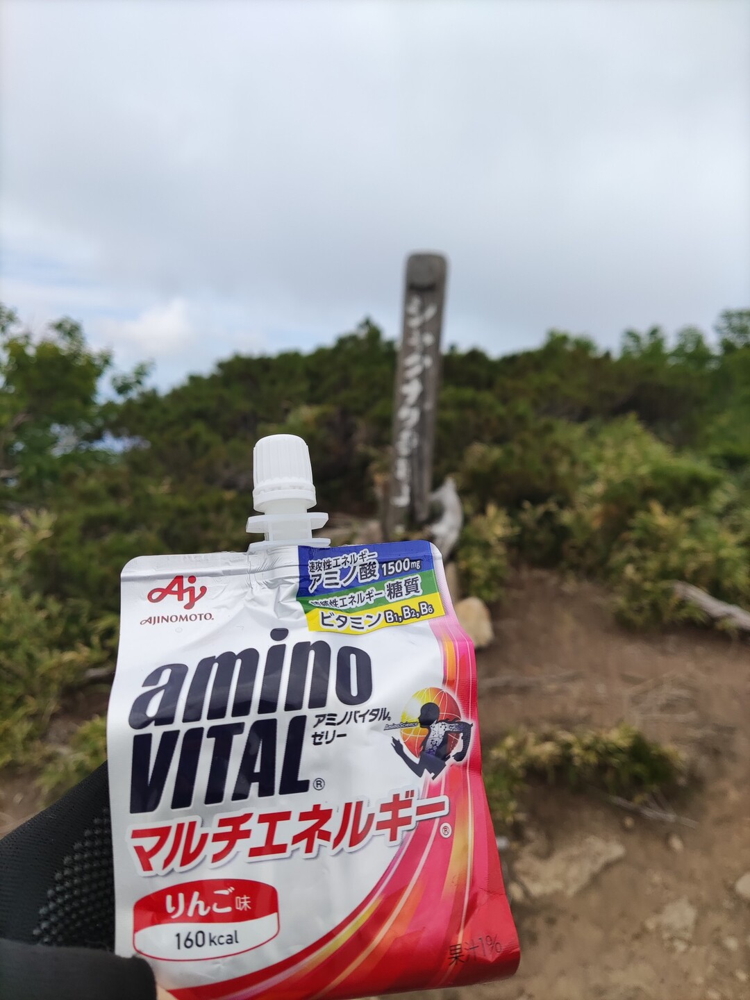 白樺山 シャクナゲ岳 ソロ21 06 29 ウォーキングの写真10枚目 チャージします Yamap ヤマップ