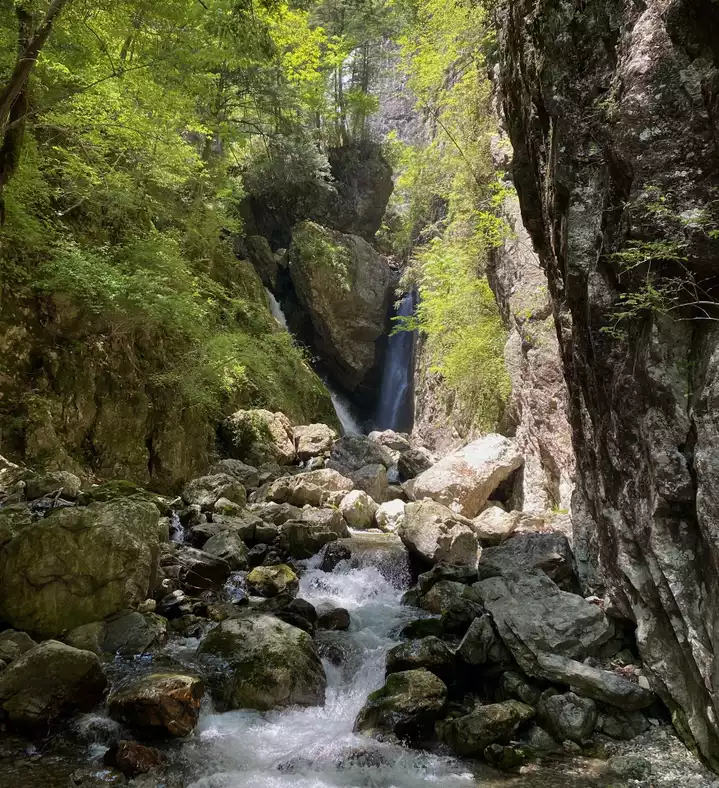 大峯の隠れ名瀑、岩屋谷滝(雄滝・雌滝) / えむじぇいさんの釈迦 大峯の隠れ名瀑、岩屋谷滝(雄滝・雌滝) / えむじぇいさんの釈迦