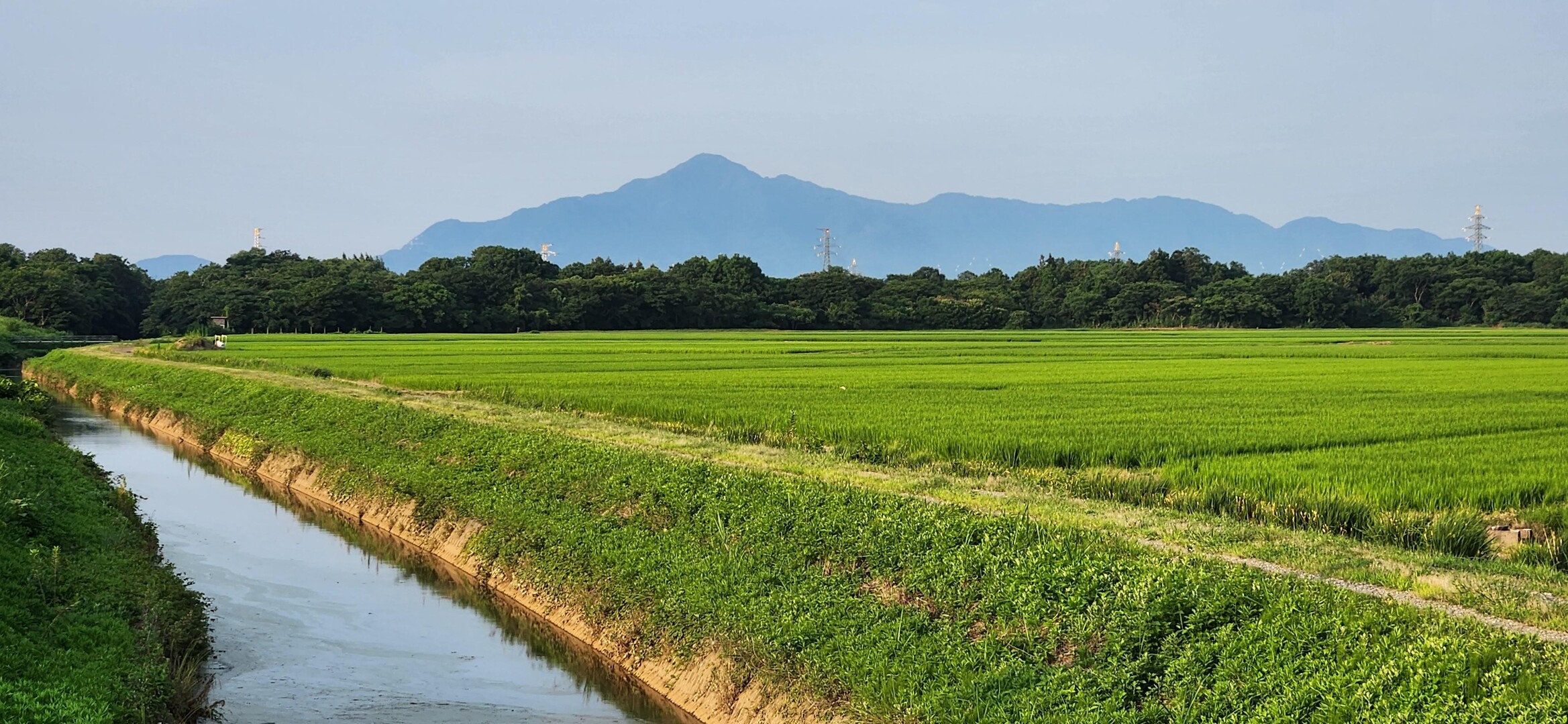 新潟の風景 頸城平野の田園に米山 上越... / カピちゃんさんのモーメント YAMAP