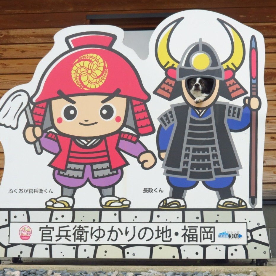 殿 ご乱心召されたか もみじ パパ さんのモーメント Yamap ヤマップ