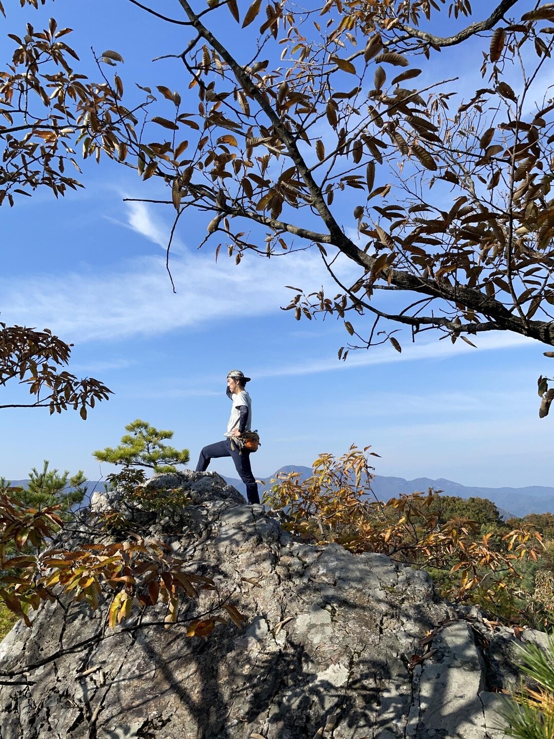 杣山 / bigisland0509さんの杣山の活動データ YAMAP / ヤマップ