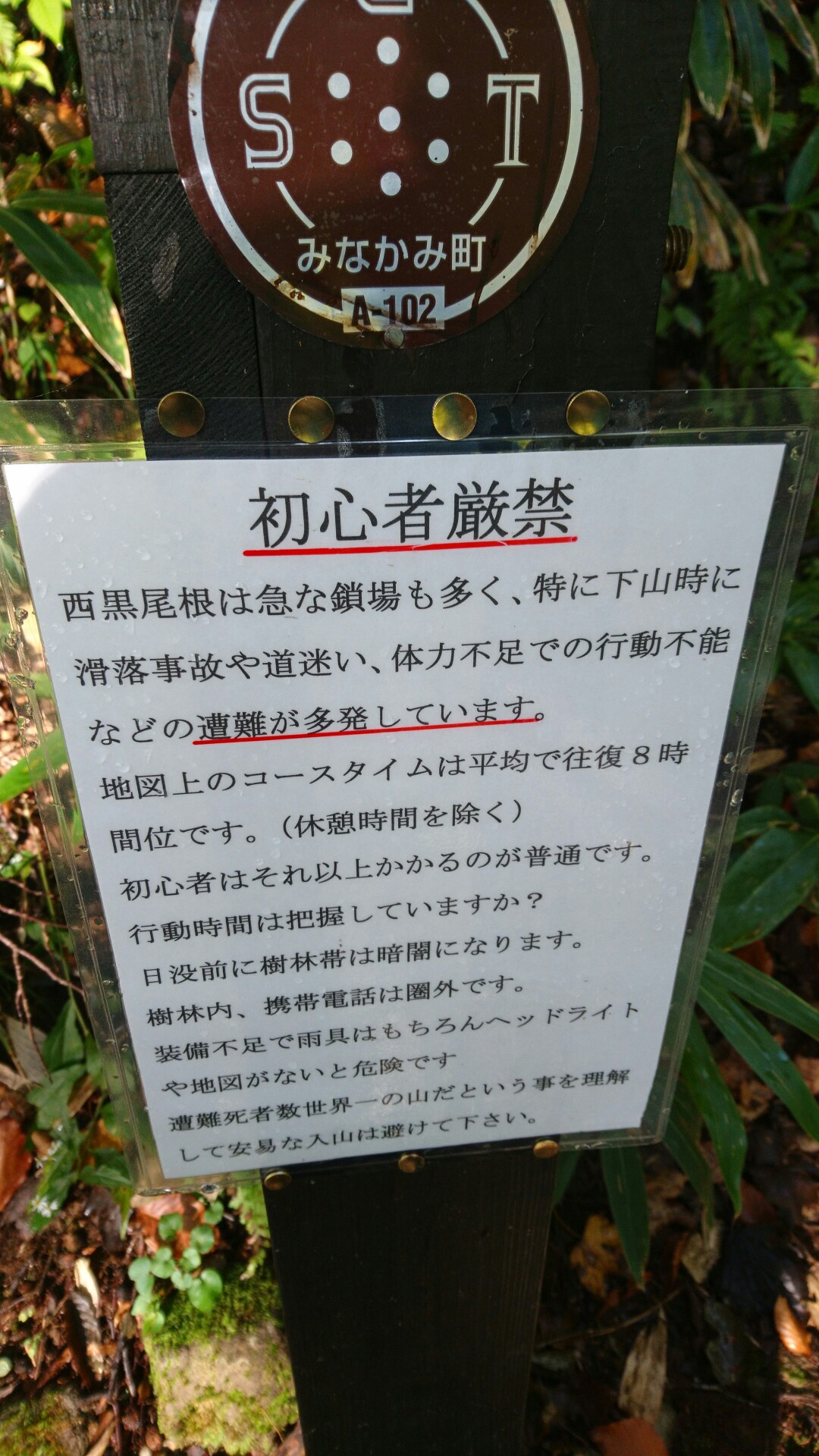 素人は黙っとれ