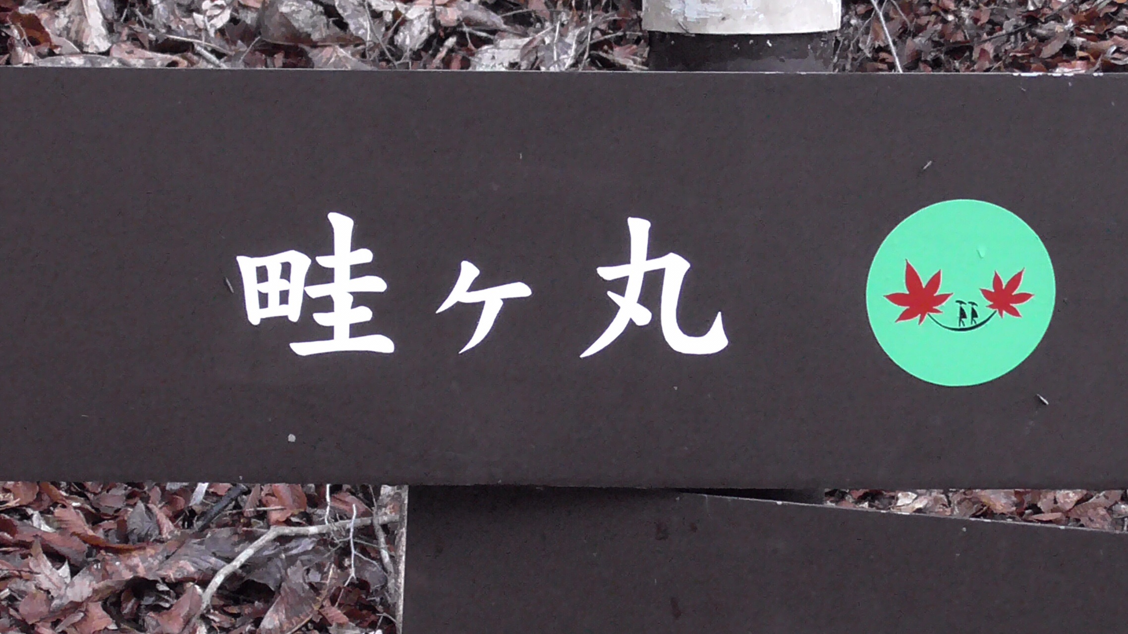 西丹沢 初登山 清流とミツマタの畦ヶ丸 のり1969さんの大室山 畦ヶ丸山 菰釣山の活動日記 Yamap ヤマップ