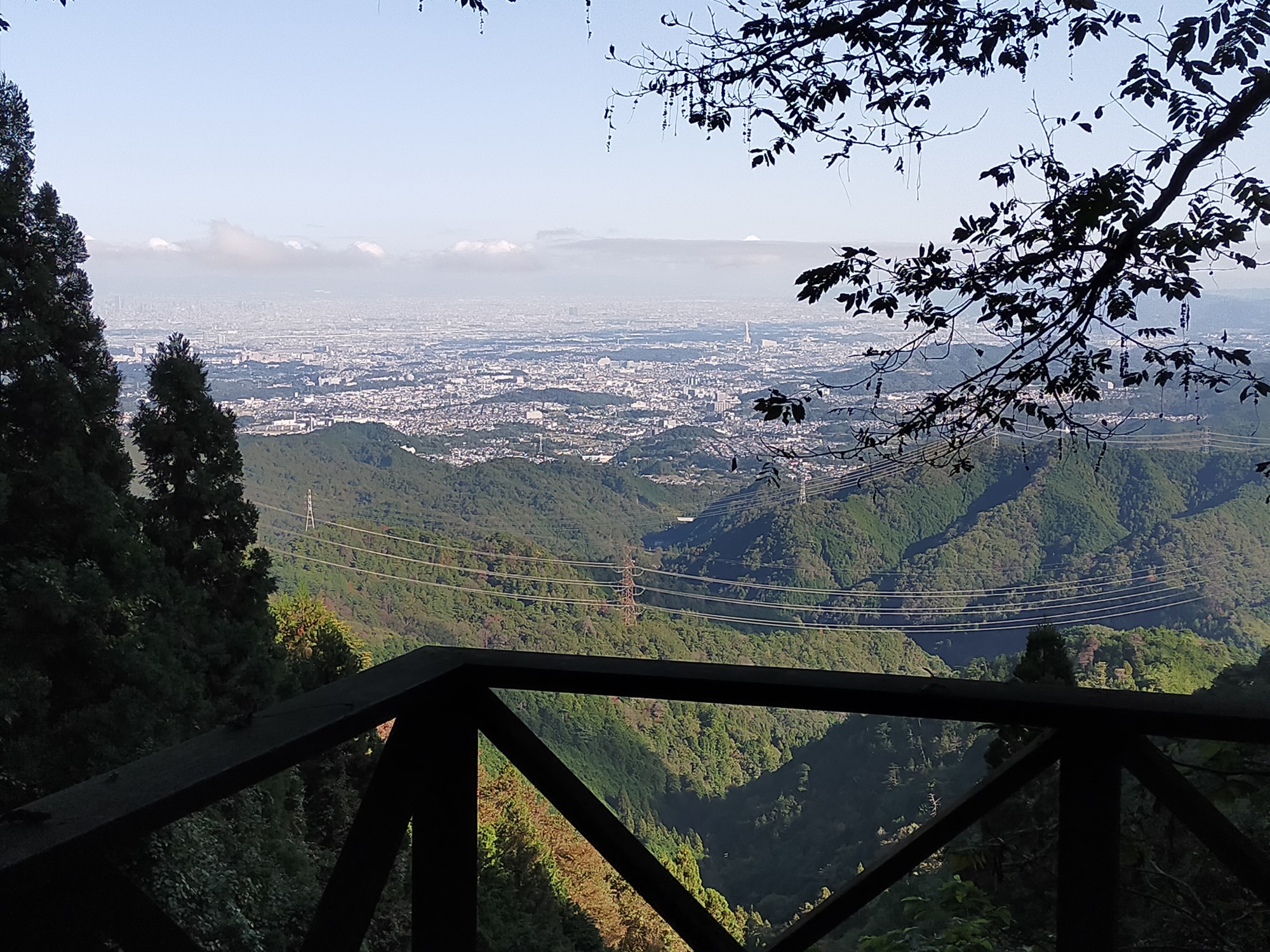 岩湧山のすすき 21 10 14 ゆたか1945さんの岩湧山 一徳防山 三石山の活動データ Yamap ヤマップ