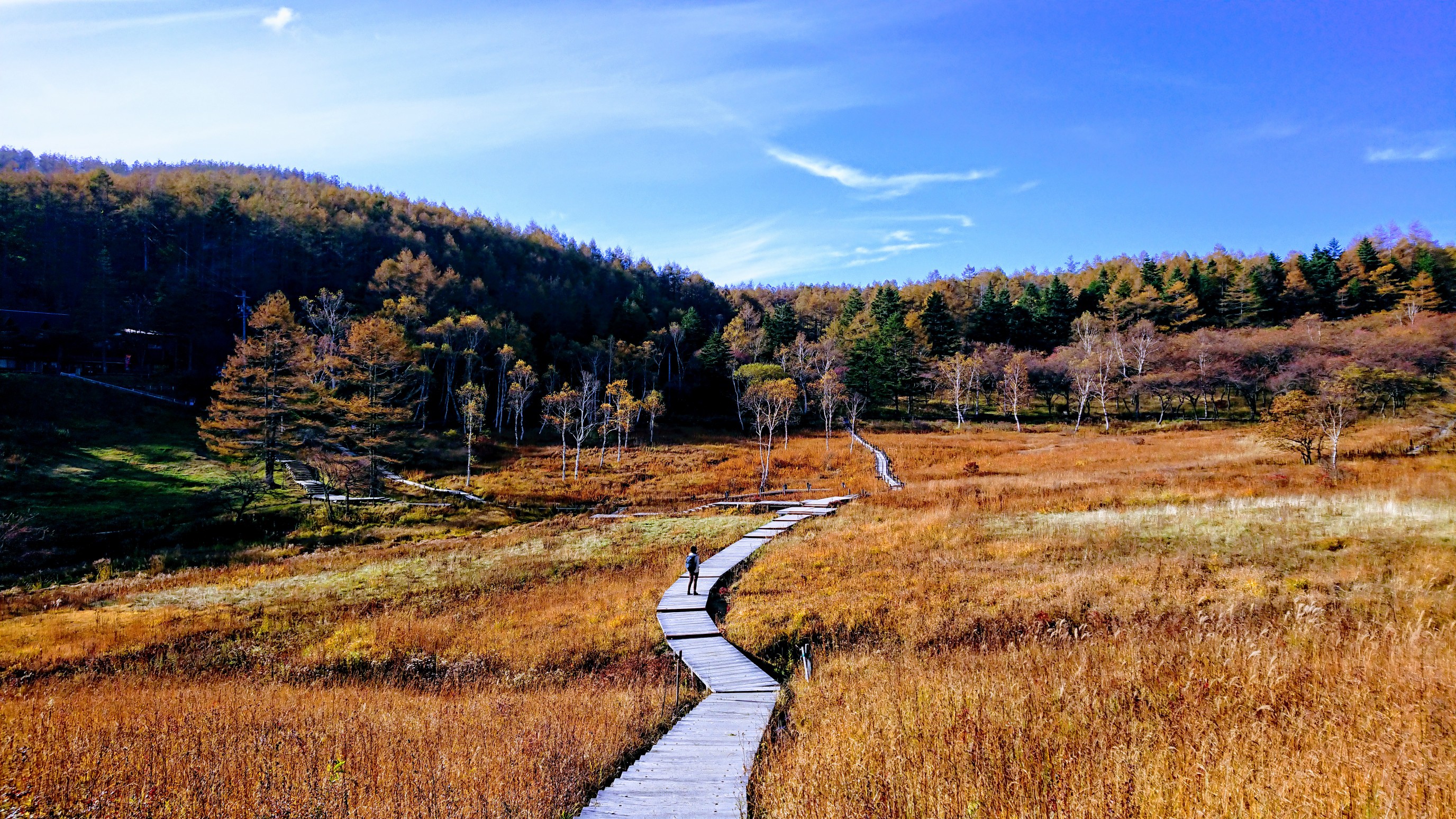 紅葉の入笠山 隼さんの入笠山の活動データ Yamap ヤマップ