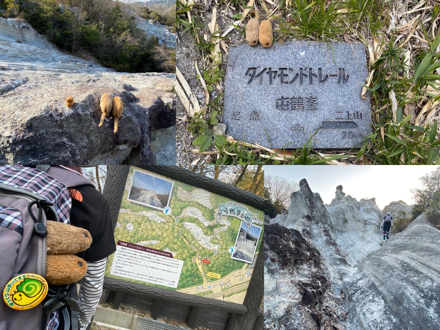 屯鶴峰で山マイマイ 03 21 うりやまさんの金剛山 二上山 大和葛城山の活動データ Yamap ヤマップ