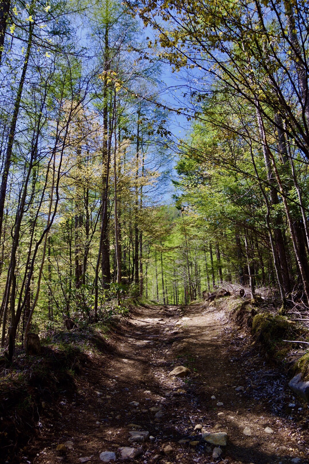 八ヶ岳の秘湯 本沢温泉 日本最高処の野天風呂 まこっちゃんさんの八ヶ岳 赤岳 硫黄岳 天狗岳 の活動日記 Yamap ヤマップ