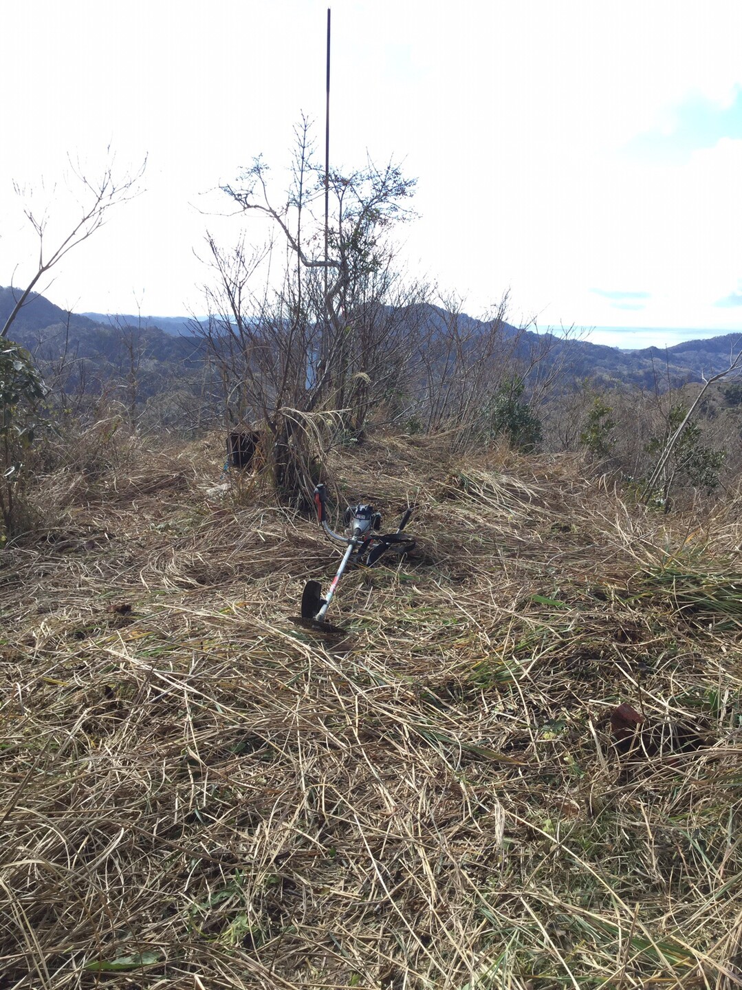 人骨山の倒木処置と草刈り ヨイフロ チバks4126 Ji1gqy さんの伊予ヶ岳 人骨山 津森山の活動日記 Yamap ヤマップ