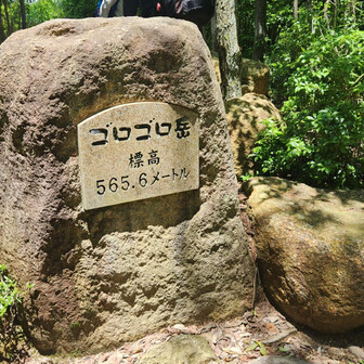 565.6メートルでゴロゴロ岳やねんね🤣