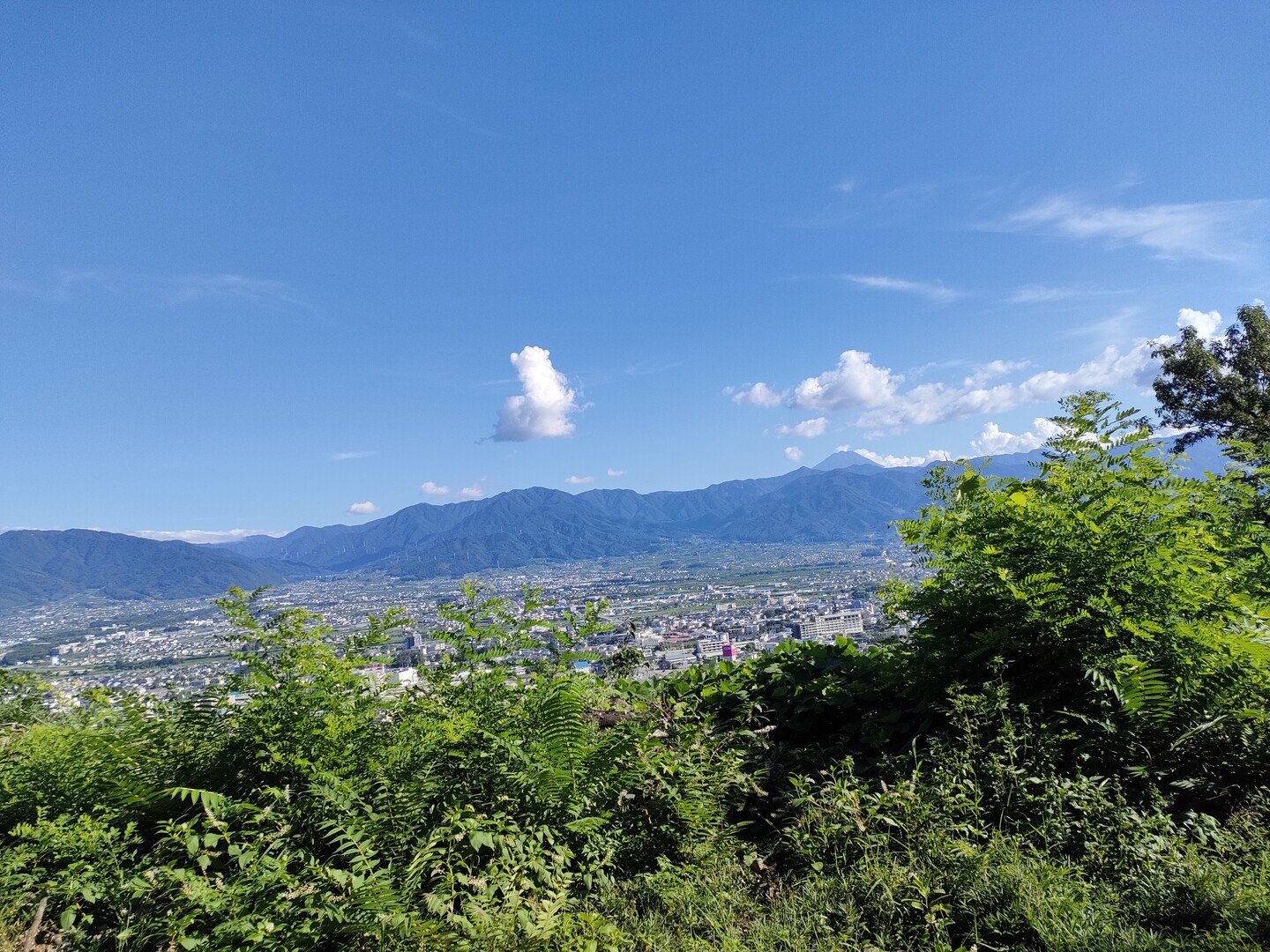 大蔵経寺山 / Miyabiさんの要害山・兜山・大蔵経寺山の活動データ YAMAP / ヤマップ