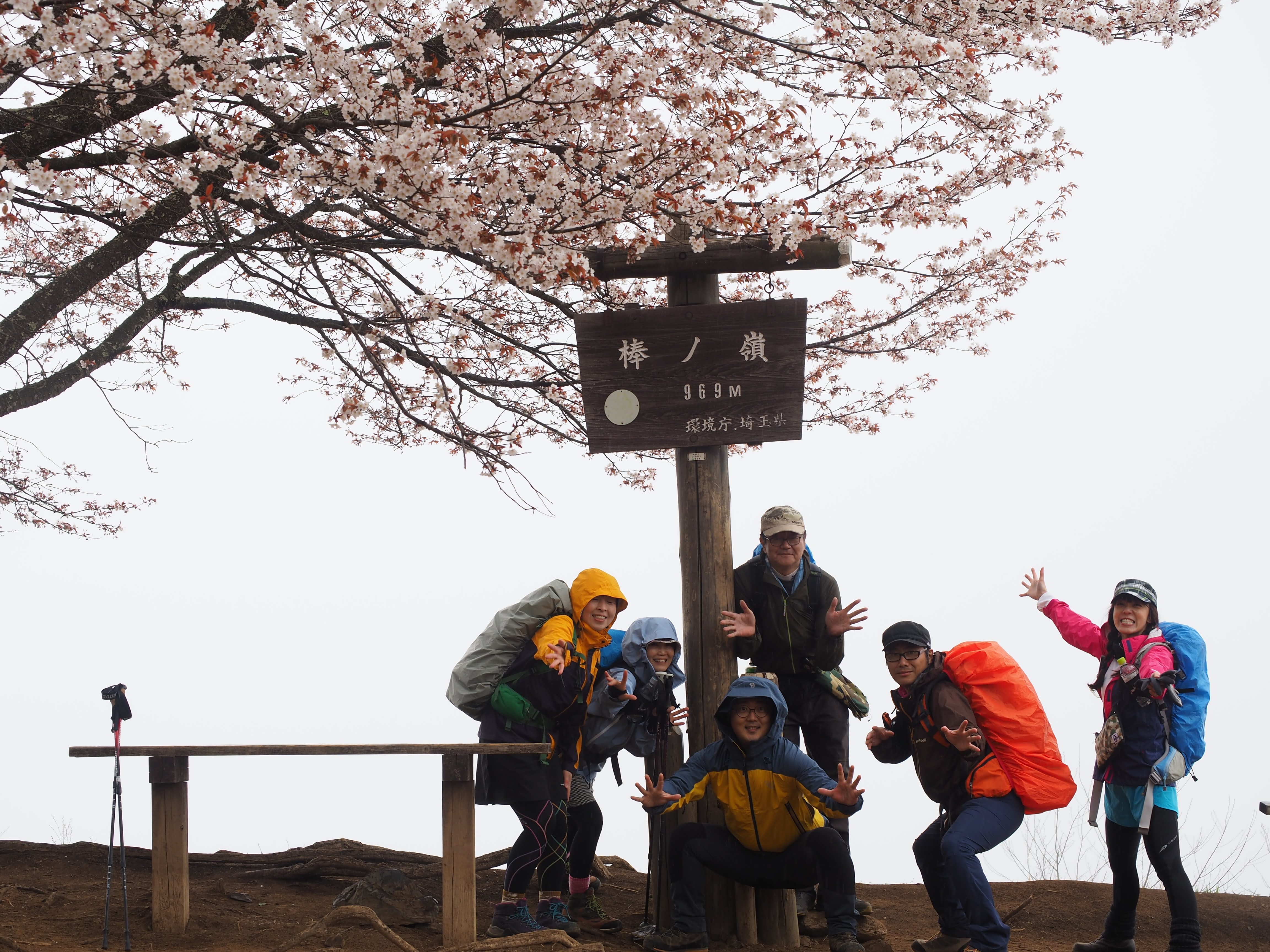その山のサクラは咲いているのか 棒ノ折山 棒ノ嶺 シロクマstfさんの棒ノ折山 棒ノ嶺 の活動データ Yamap ヤマップ