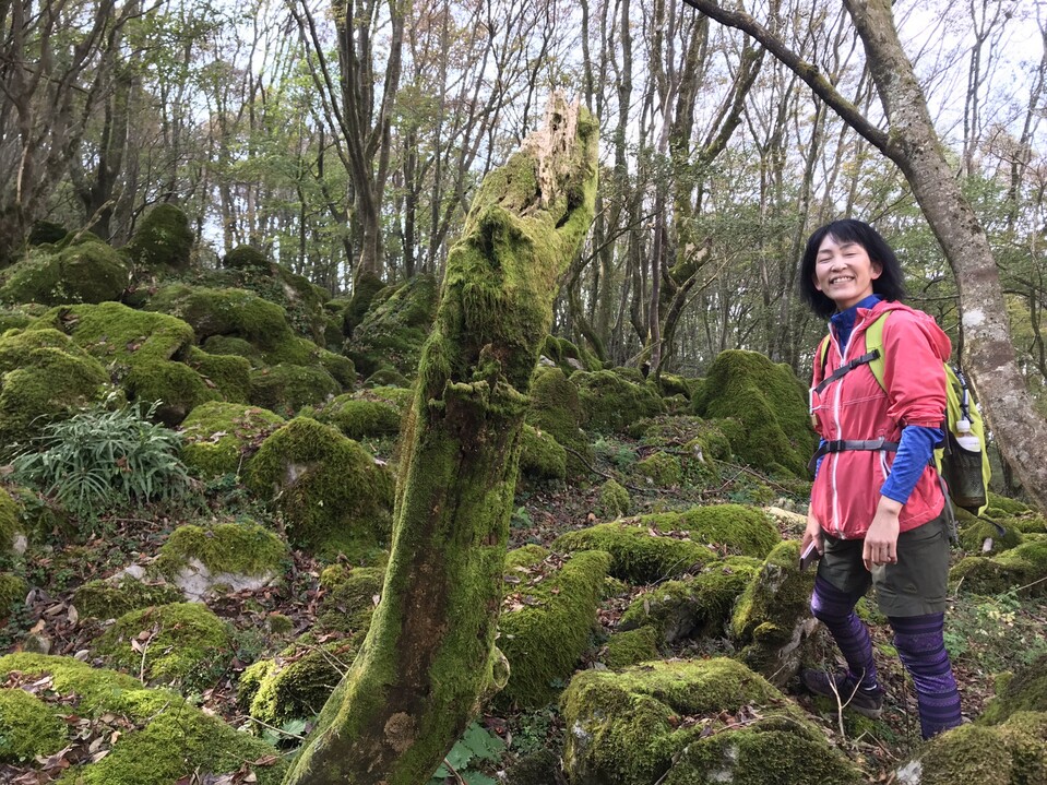 お局様、キツネになつかれる！ / 鍋尻山の写真21枚目 / 笑っちゃうくらい苔まるけ。 | YAMAP / ヤマップ