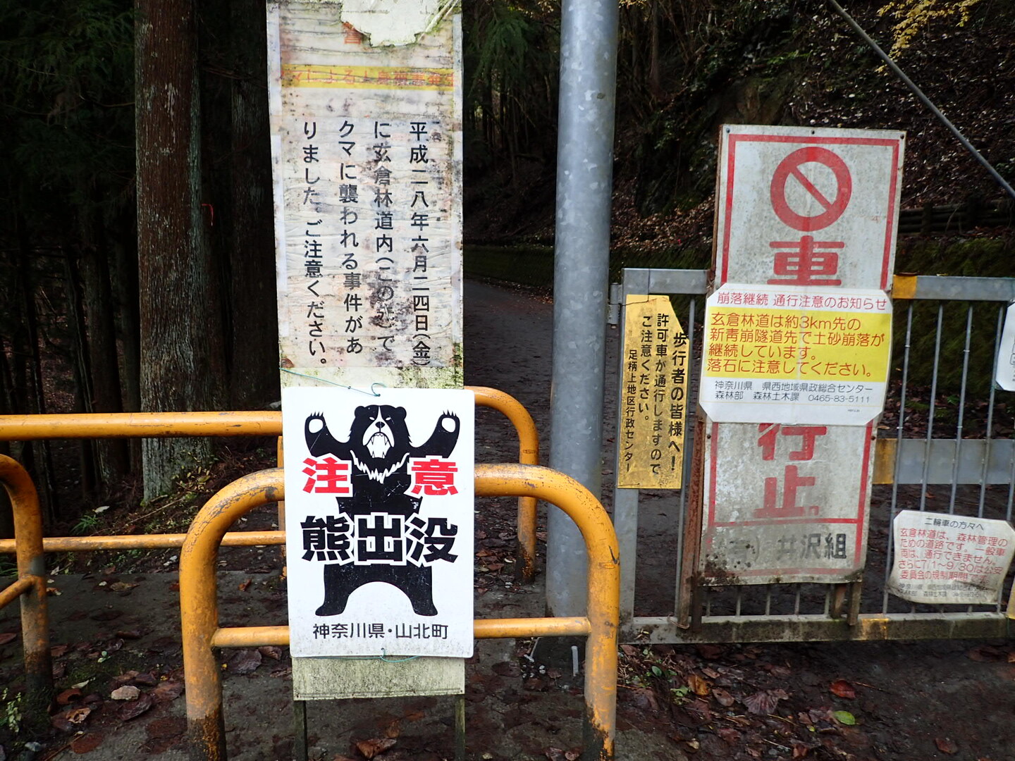 熊出没注意 看板やクマさんのこと まさ10さんの横浜市 南エリアの活動日記 Yamap ヤマップ