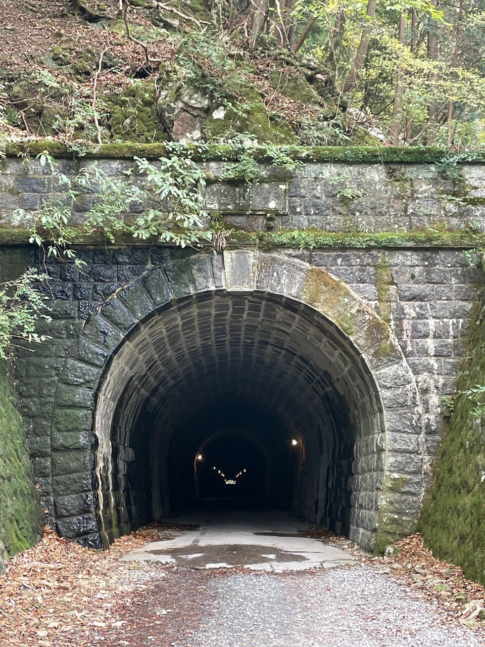 天城山👻旧天城トンネルからの心霊巡り / リトルスターさんの天城山・鉢ノ山・三筋山の活動日記 YAMAP / ヤマップ