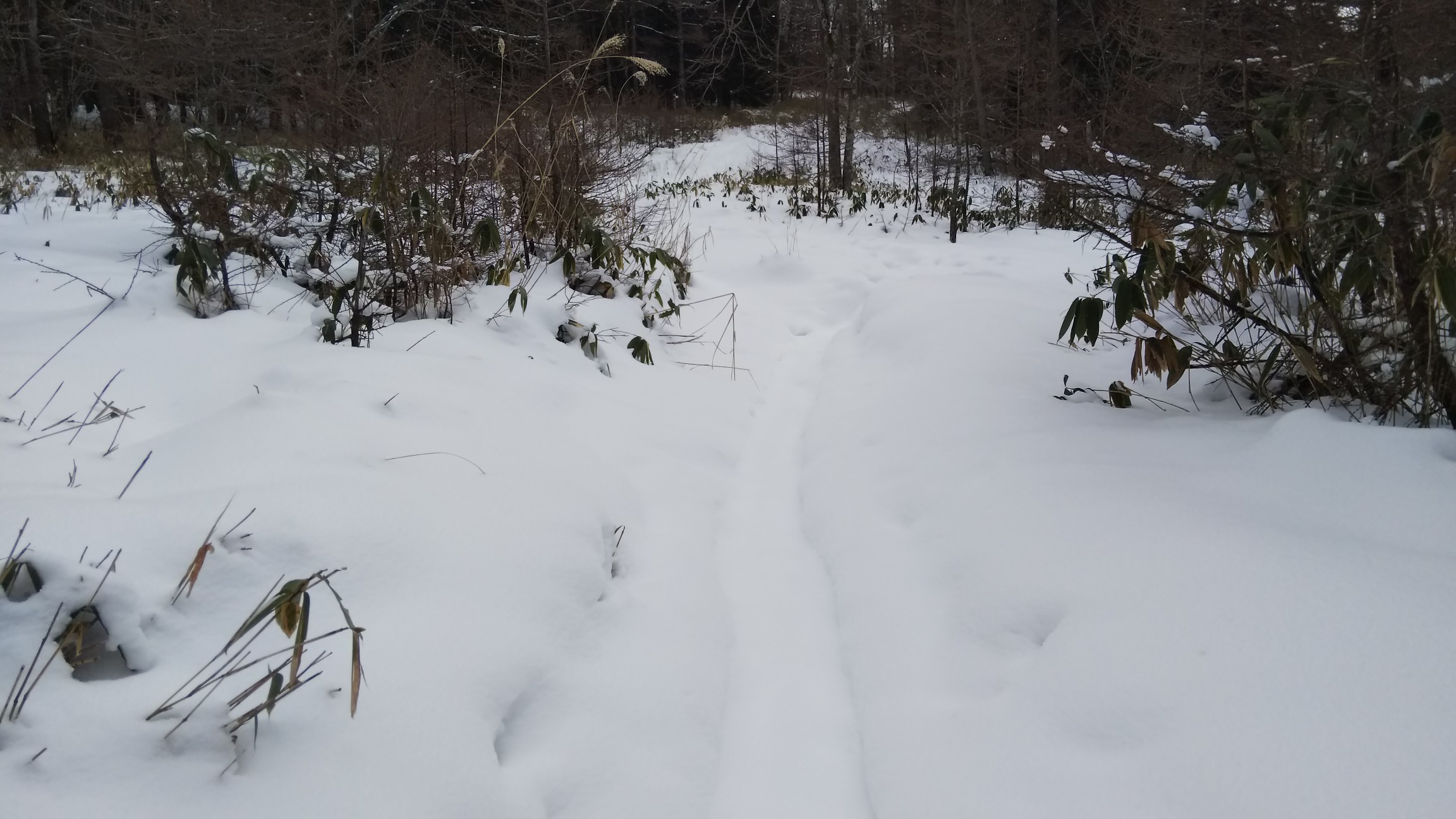 私のワカン跡～