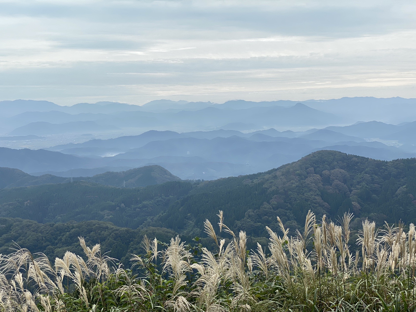 越知山 花立峠コース 10 03 いなえけけさんの越知山 六所山の活動データ Yamap ヤマップ