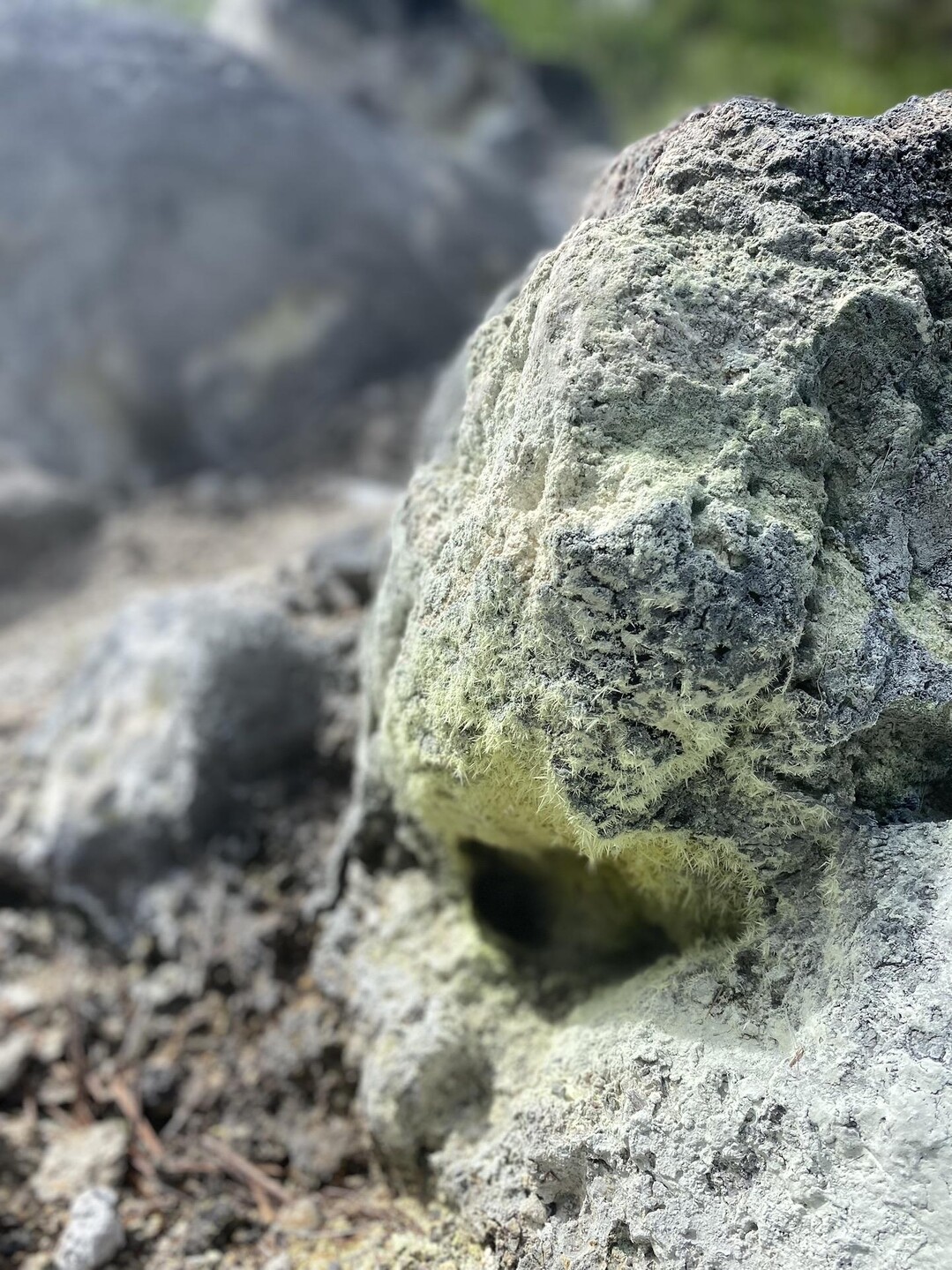 七星山 / 79さんの台北市の活動データ YAMAP / ヤマップ