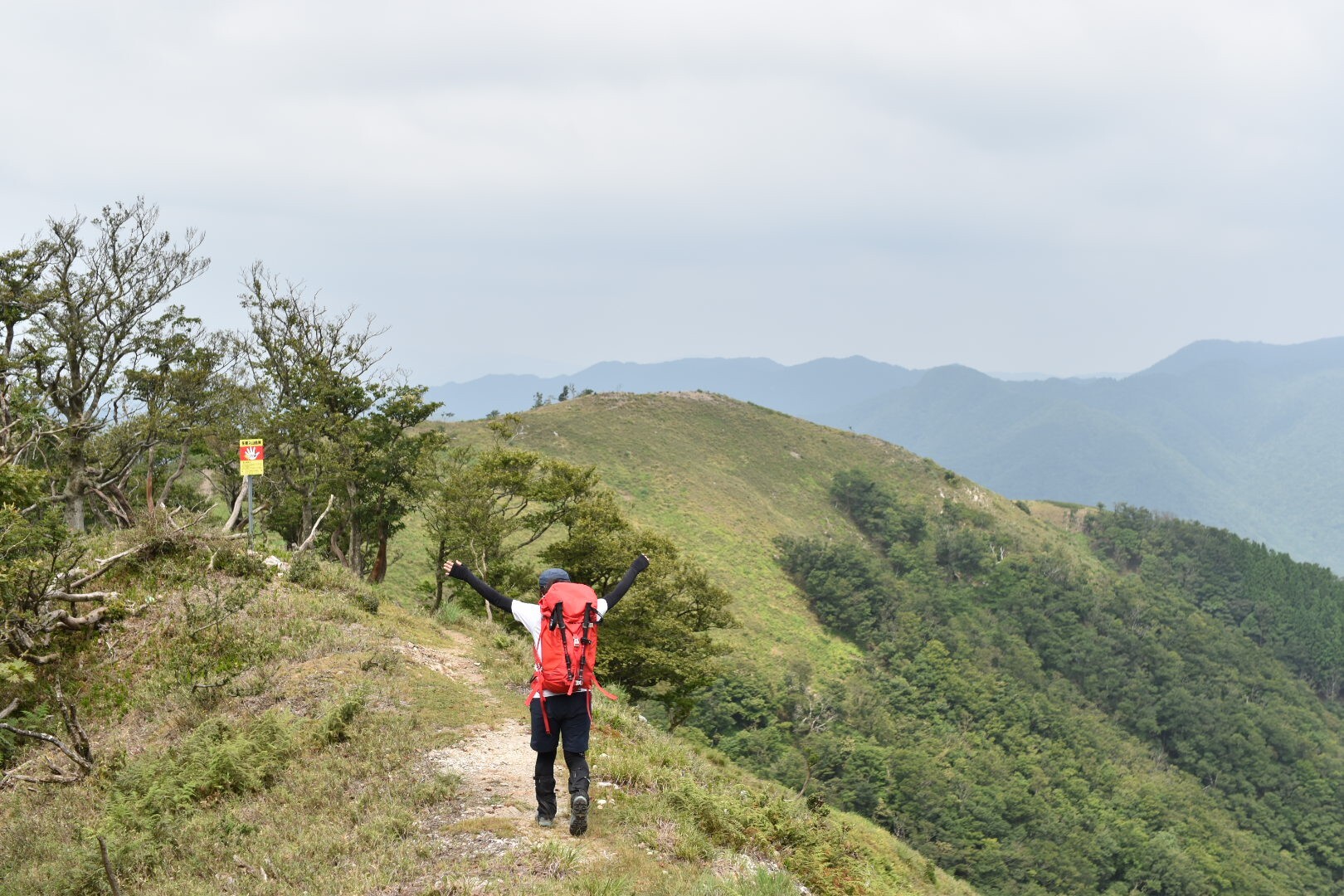 綿向山 ステキ無敵モテ期コラボ 綿向山の写真46枚目 稜線やぁ うぇぇぇぇぇぇぇぇーーーーーー Yamap ヤマップ