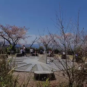 ここに桜🌸が咲いてる様子みれてよかった！