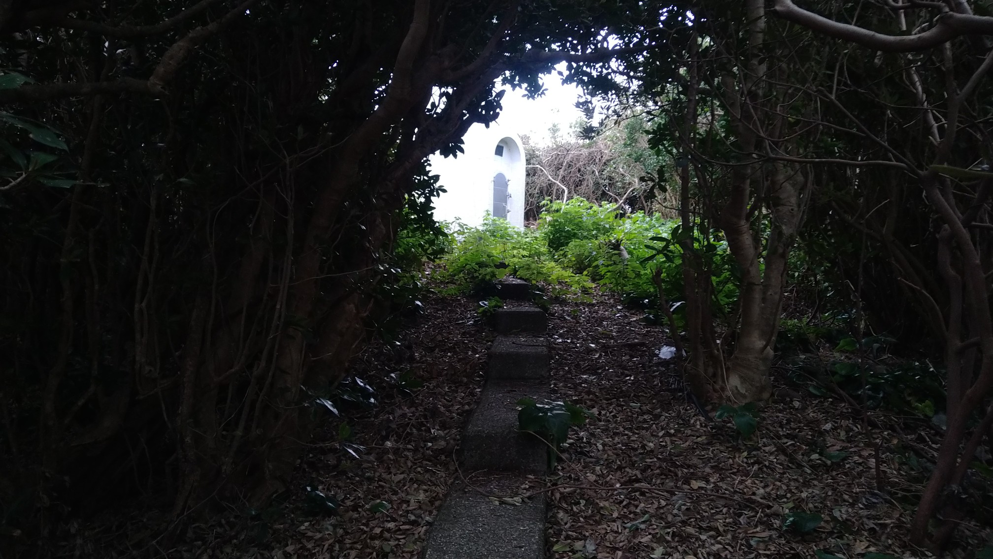 南日岳(宇治群島宇治島) / あきとさんの南さつま市の活動データ YAMAP / ヤマップ