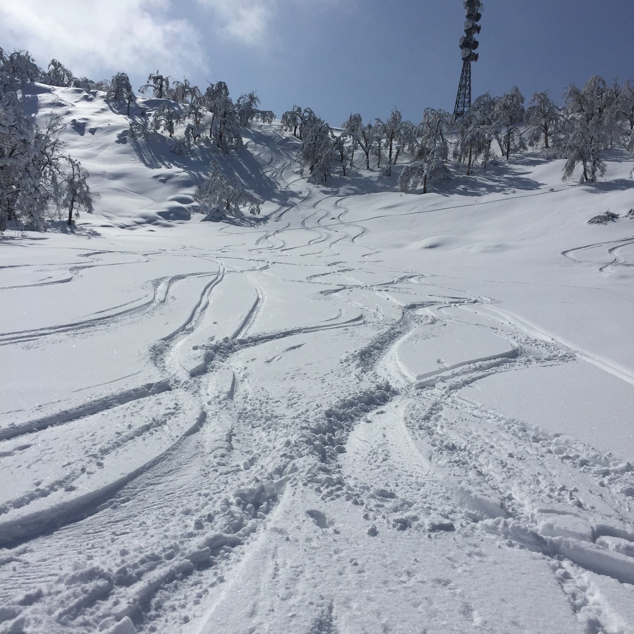 Dynastar Cham HM 97 スキー板 新品 バックカントリー Dynastar