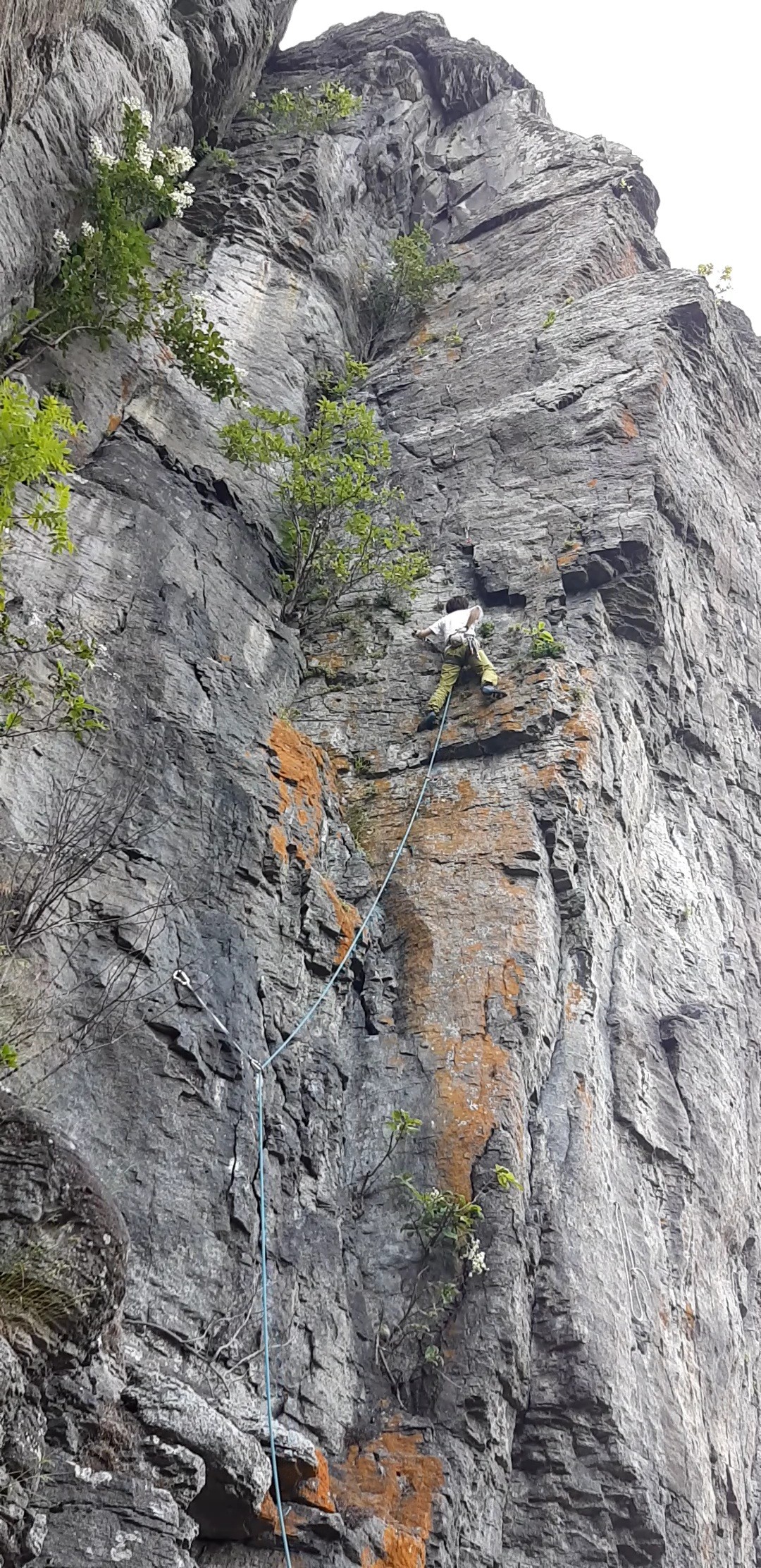 名寄 見晴岩 最終日も猛暑 Wolfさんのピヤシリ山の活動日記 Yamap ヤマップ