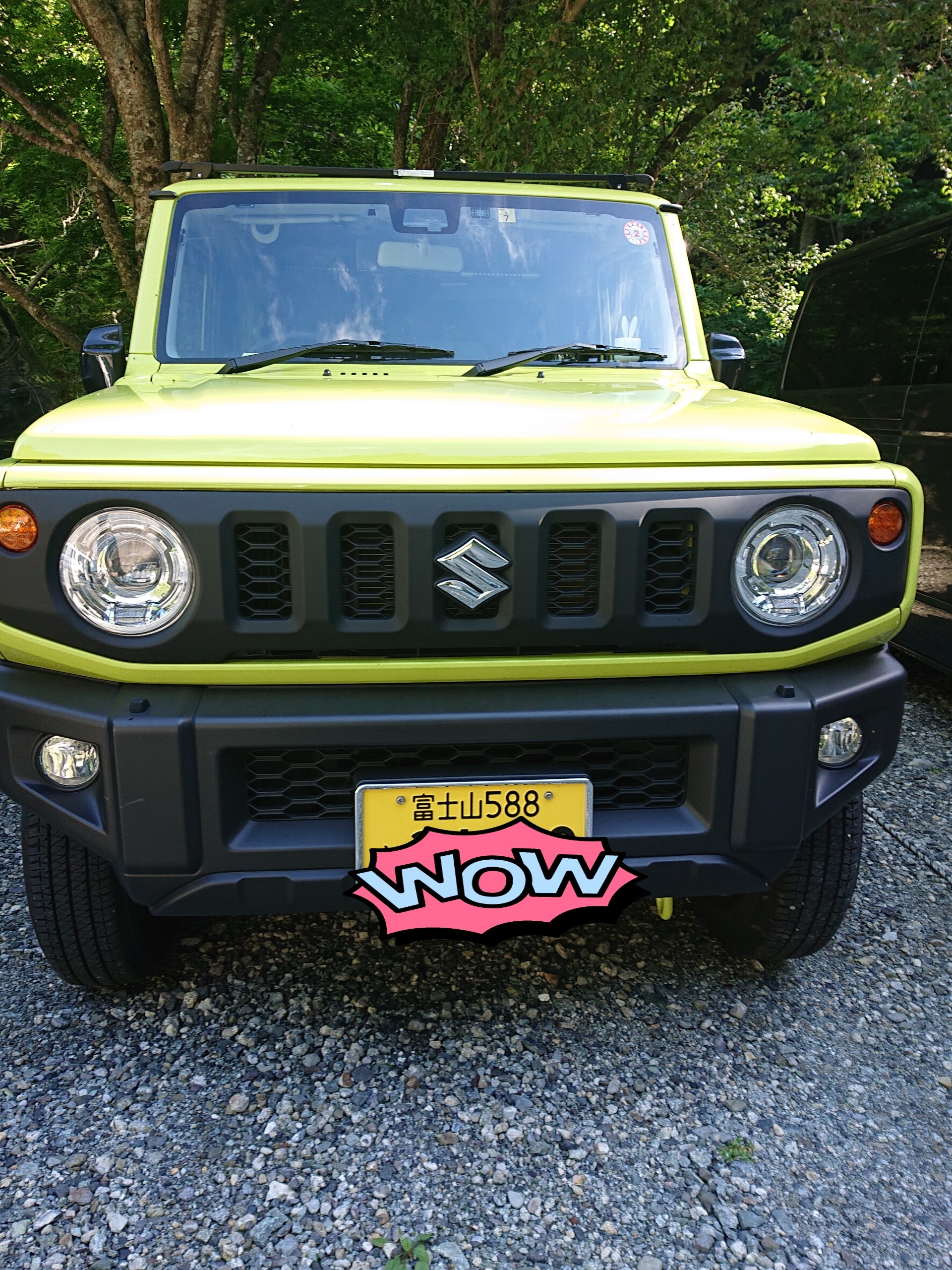 オオヤマレンゲとossan S 弥山 八経ヶ岳 明星ヶ岳 にゃんたさんの八経ヶ岳の活動日記 Yamap ヤマップ