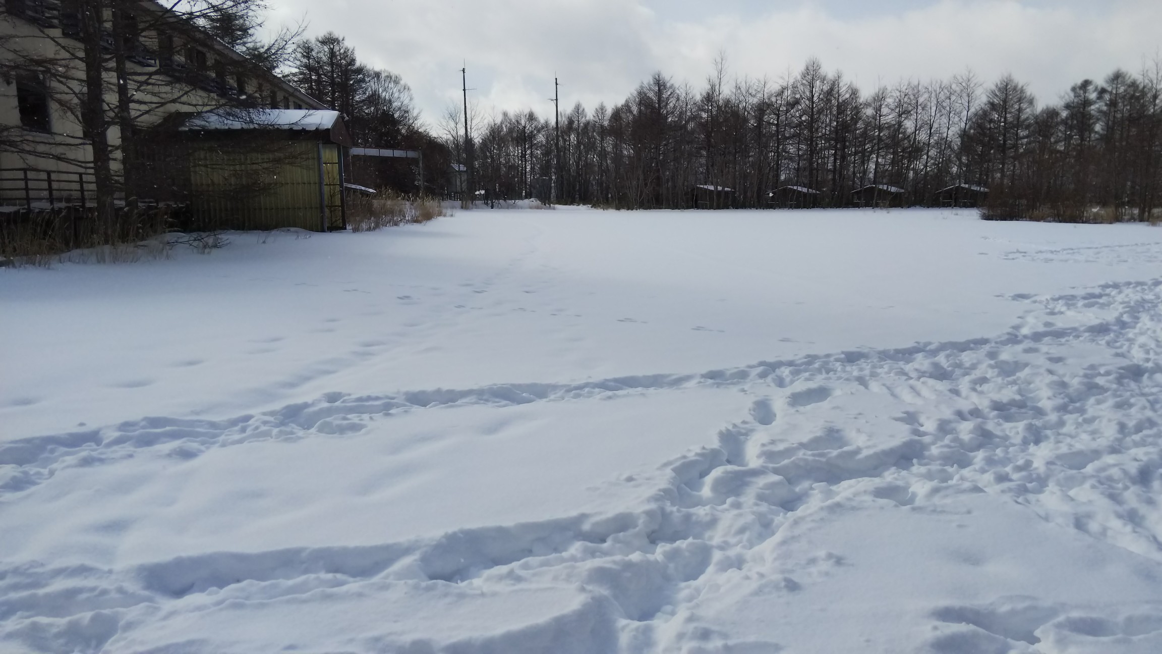 旧スキー場の駐車場跡