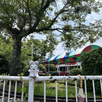 山頂到着です。