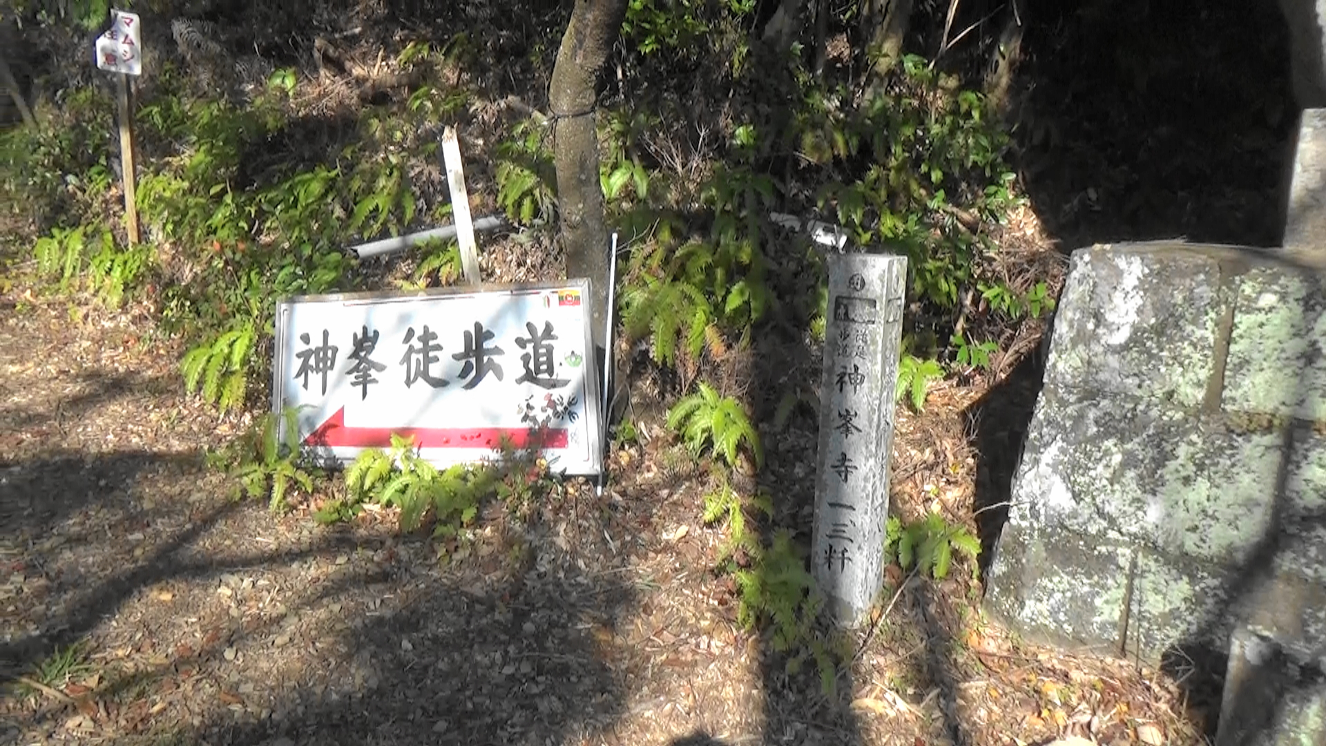 こうのみねじ 自転車