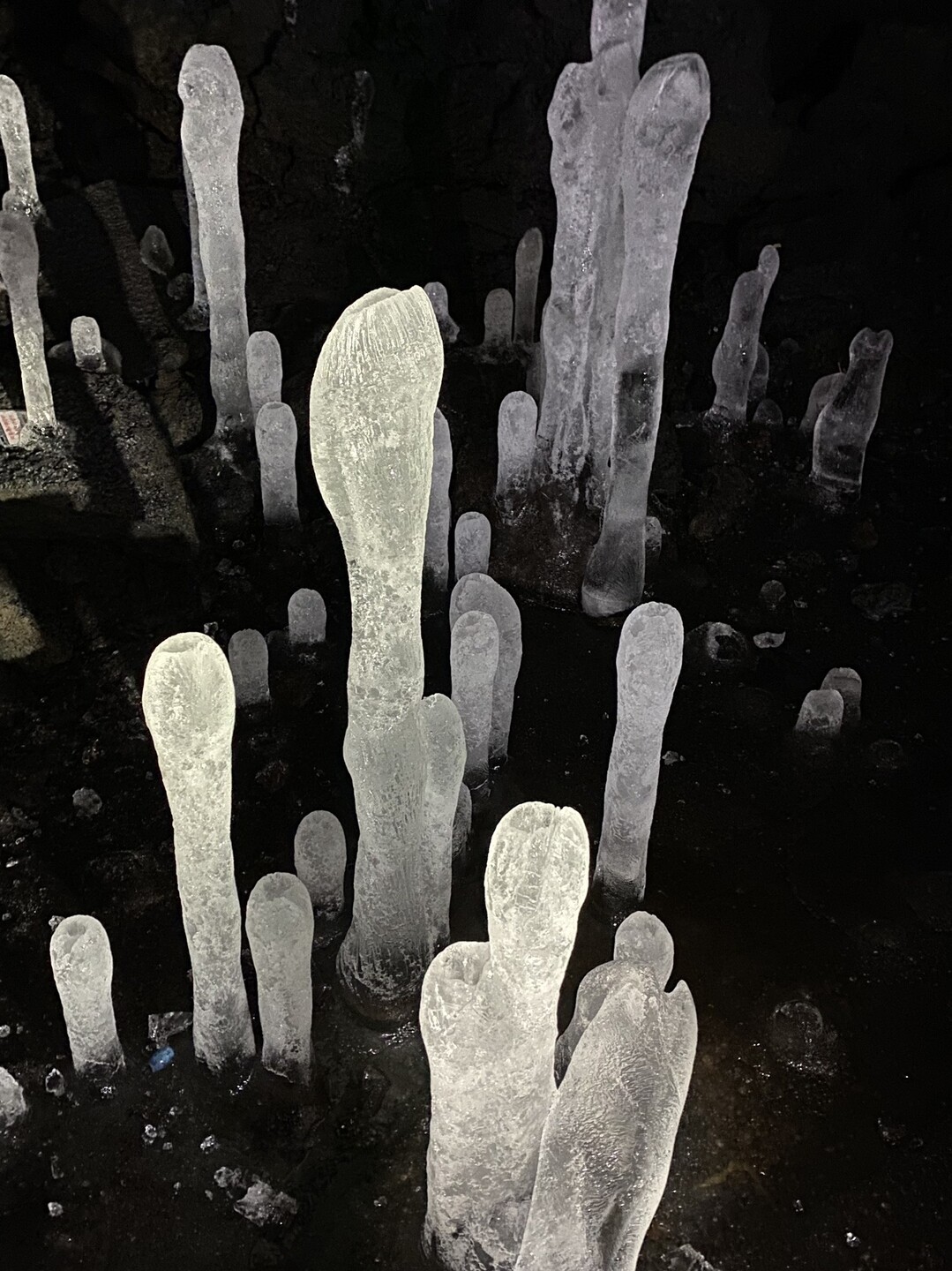 富士風穴探検 と大室山 Kebinさんの鳴沢村の活動データ Yamap ヤマップ