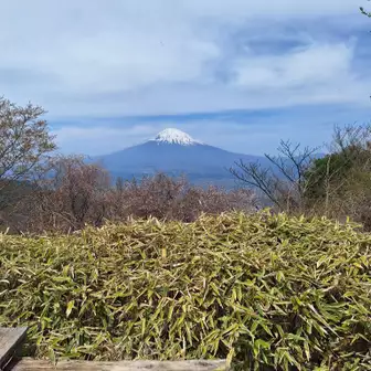 丸鉢山よりの富士山ドーン！