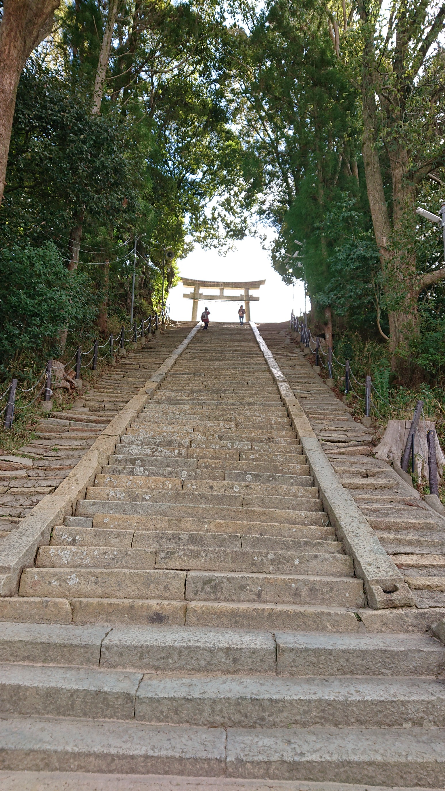 三木山総合運動公園 三木鉄道記念公園 02 06 房 さんの小野アルプス 紅山 惣山 の活動日記 Yamap ヤマップ