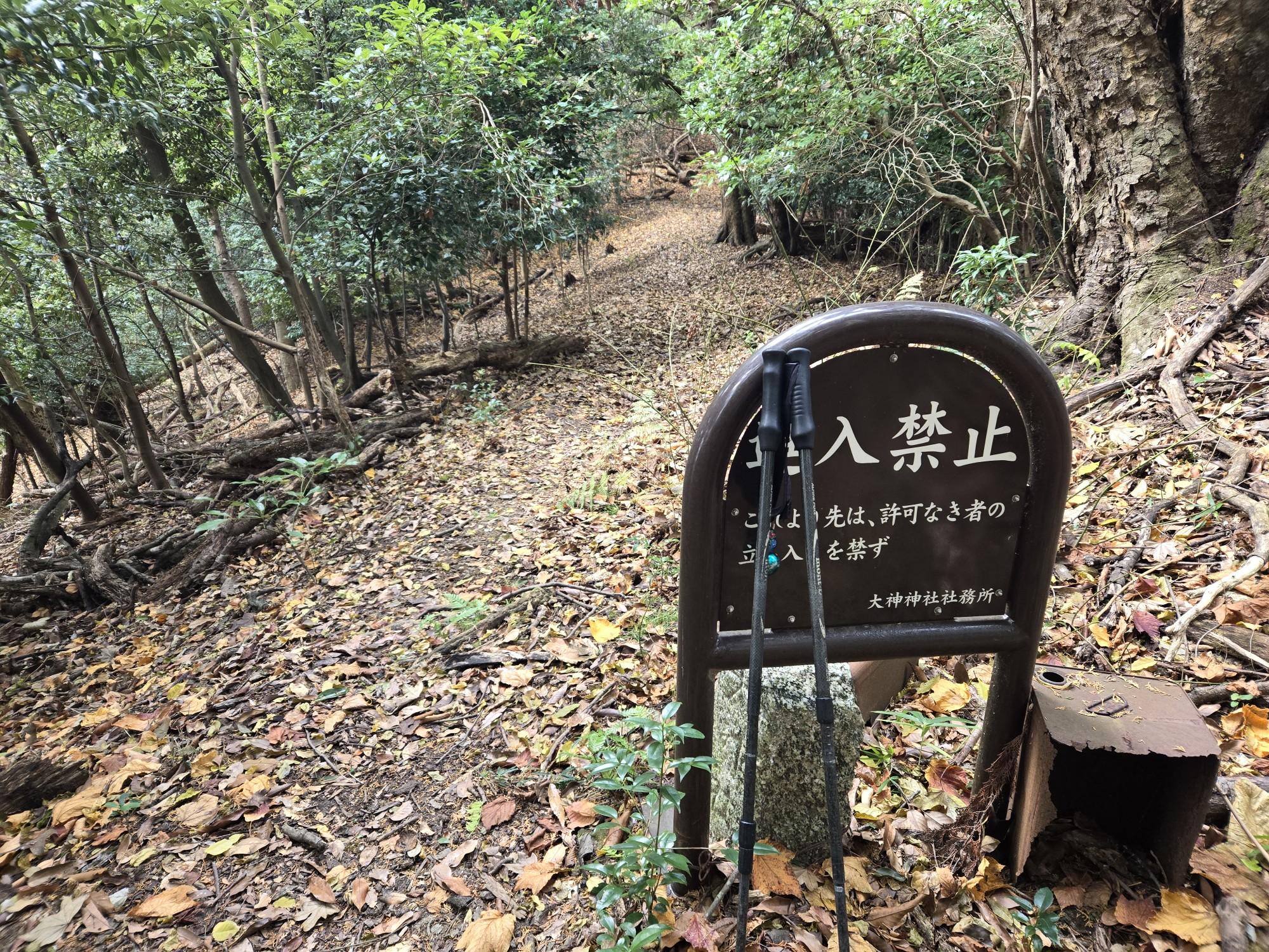 三輪山・巻向山・龍王山 2時間と20分ぶりの写真です❗。